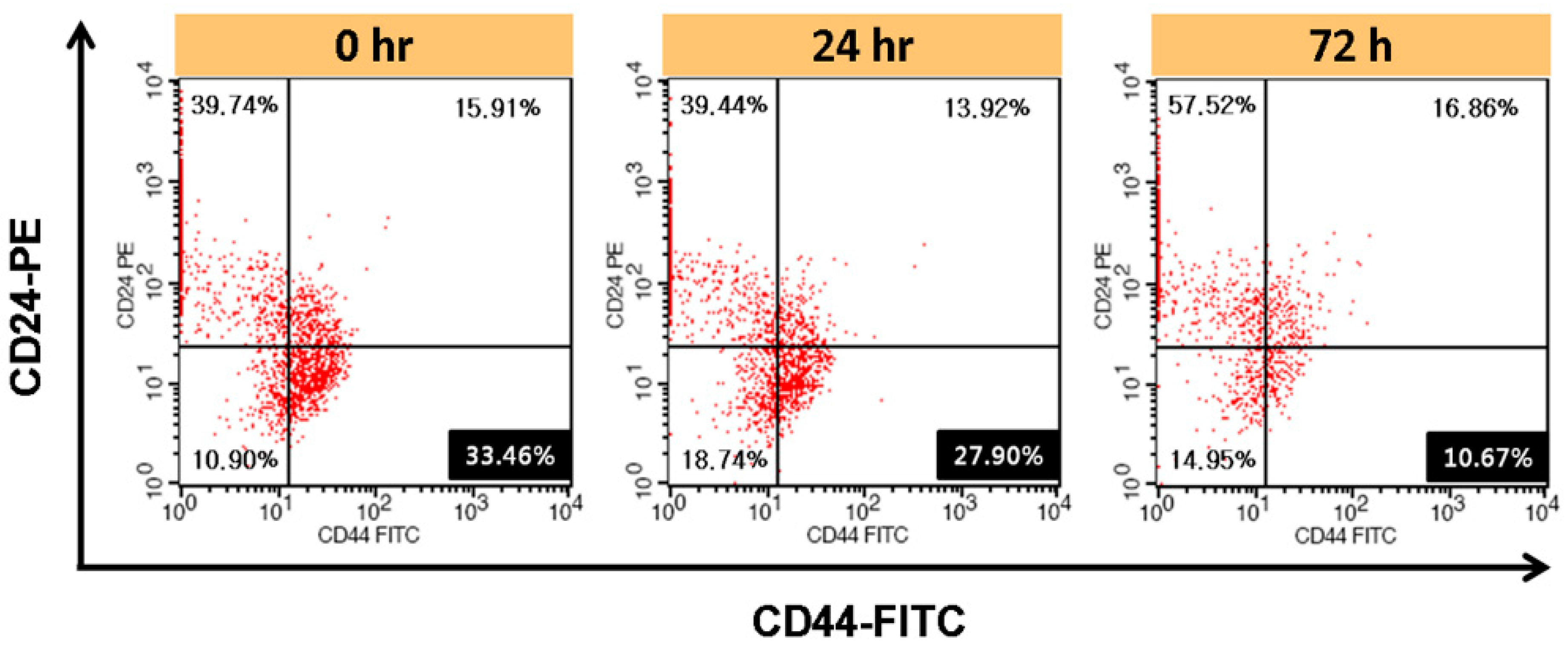 Pharmaceutics 12 00011 g003 Pharmaceutics 12 00011 g003
