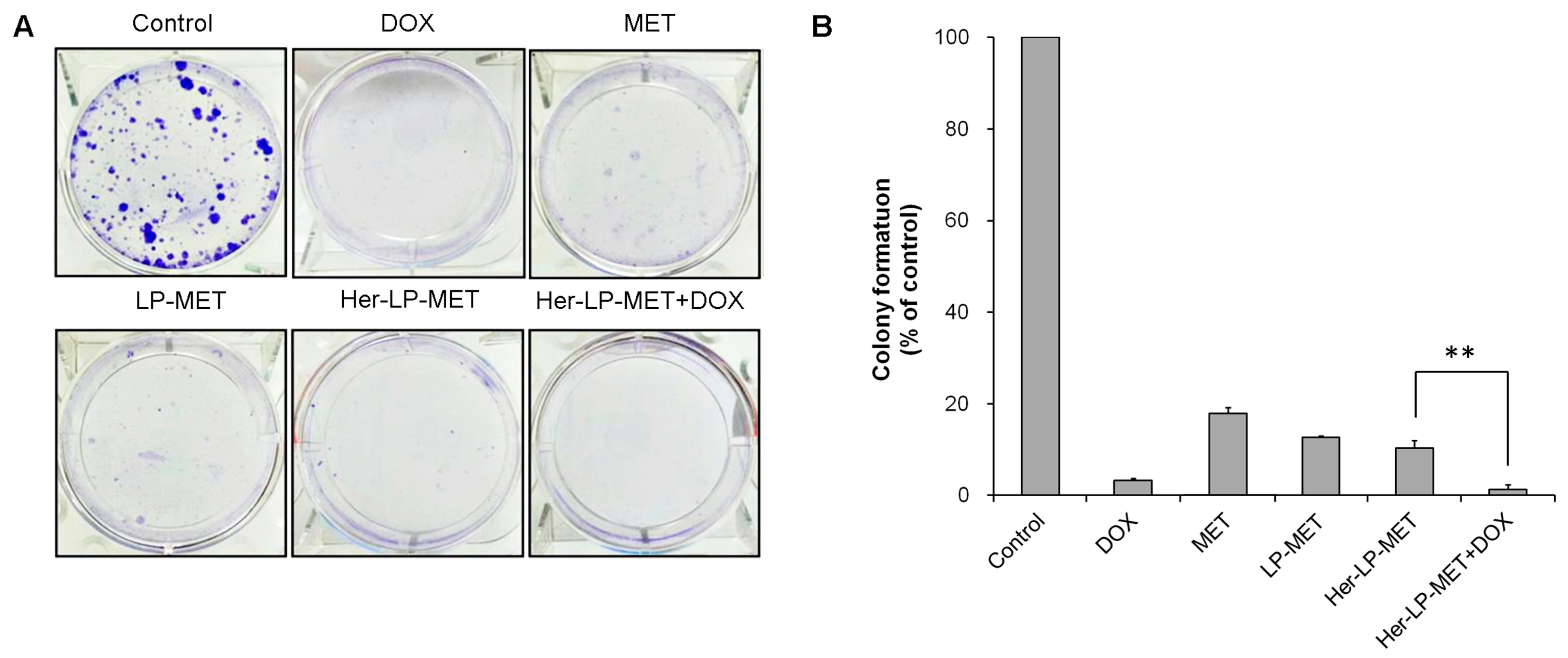 Pharmaceutics 12 00011 g005 Pharmaceutics 12 00011 g005