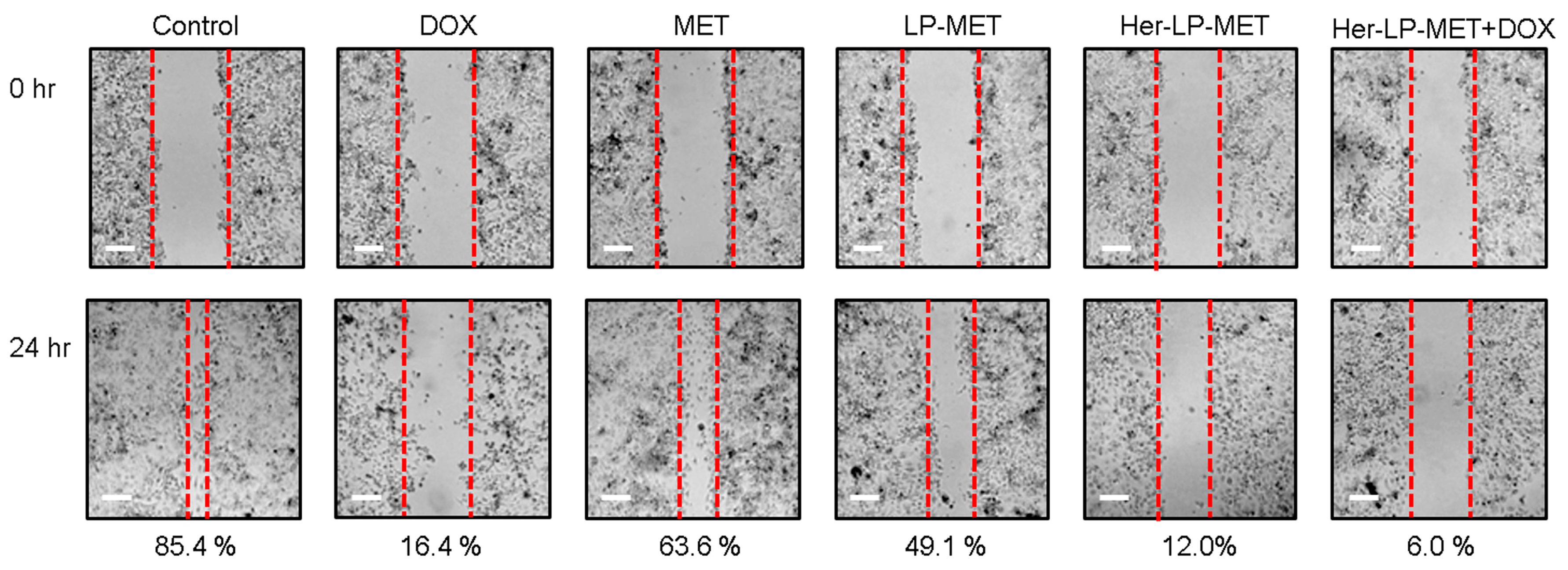Pharmaceutics 12 00011 g006 Pharmaceutics 12 00011 g006