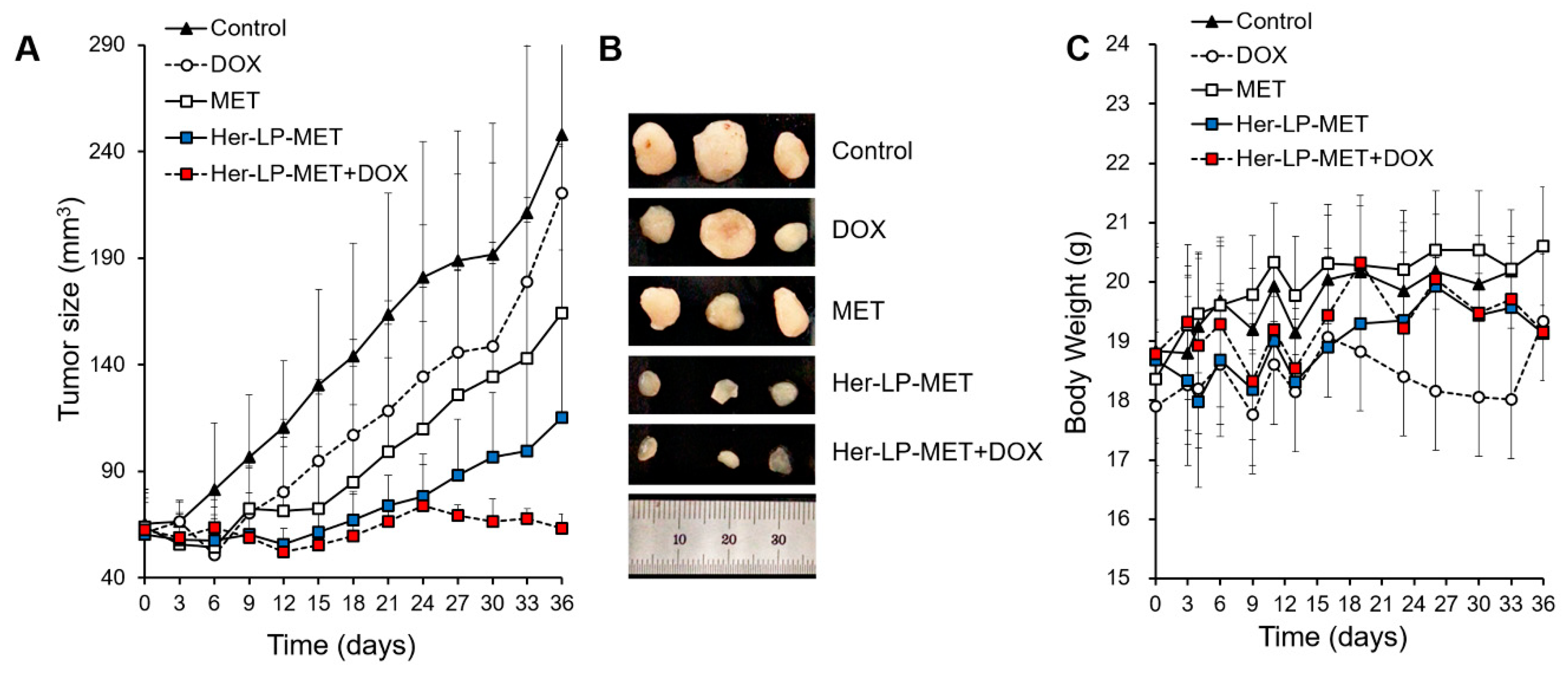 Pharmaceutics 12 00011 g007 Pharmaceutics 12 00011 g007