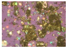 Pharmaceutics 12 00017 i001