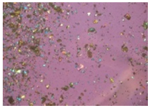 Pharmaceutics 12 00017 i002