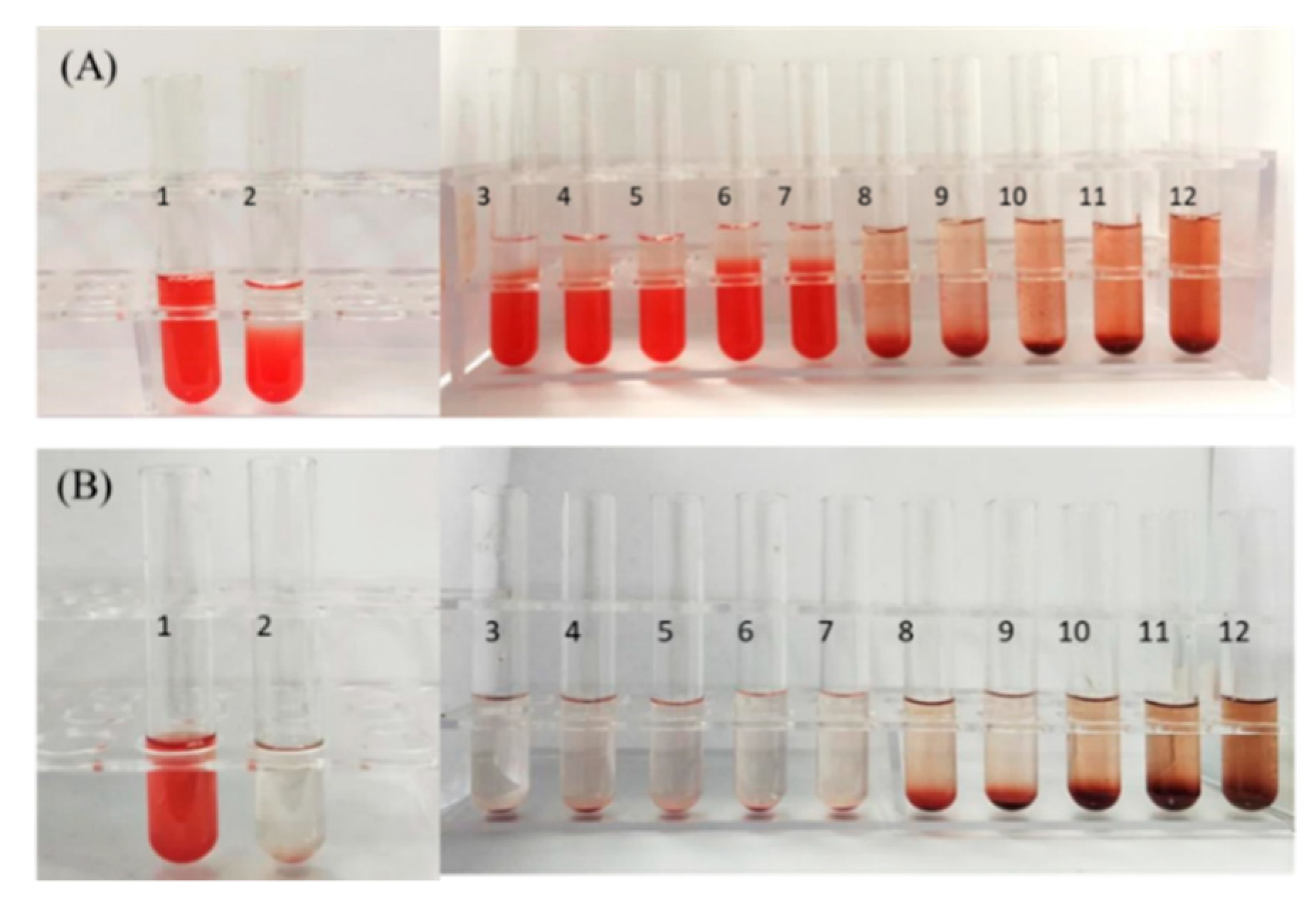 Pharmaceutics 12 00021 g005