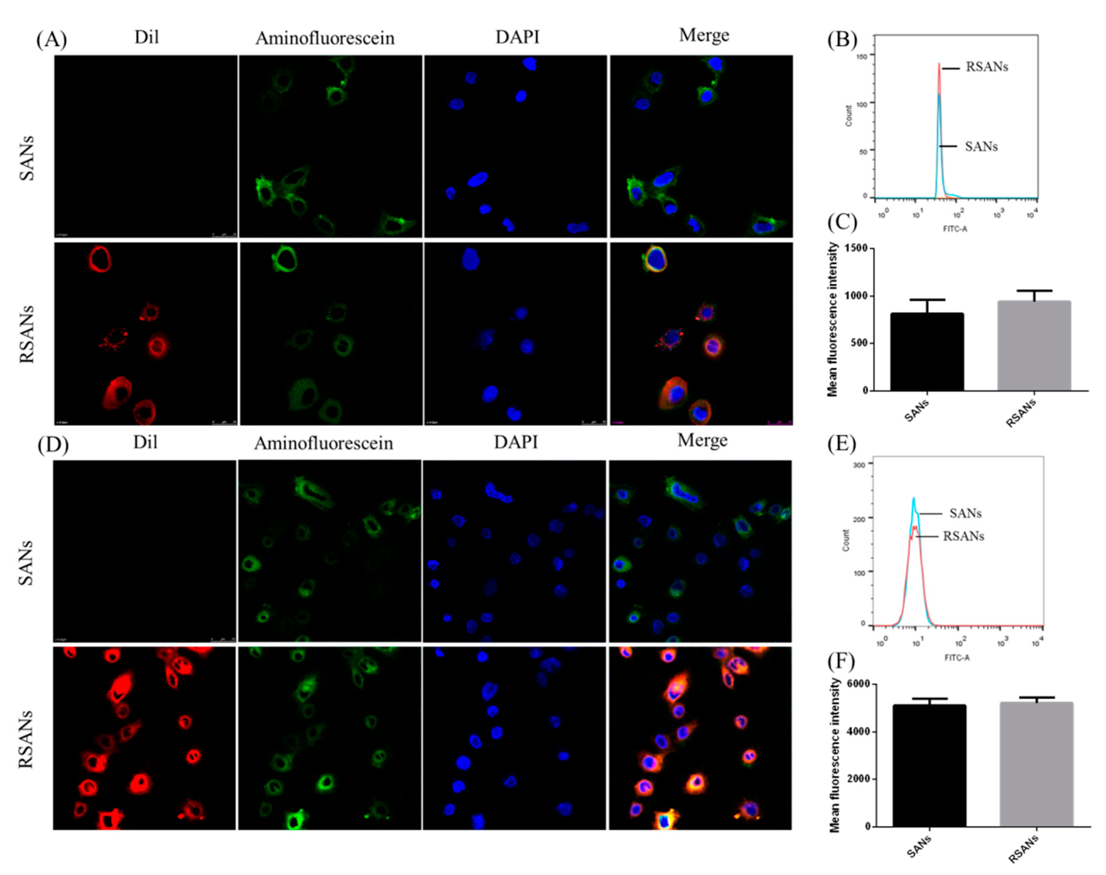 Pharmaceutics 12 00021 g007