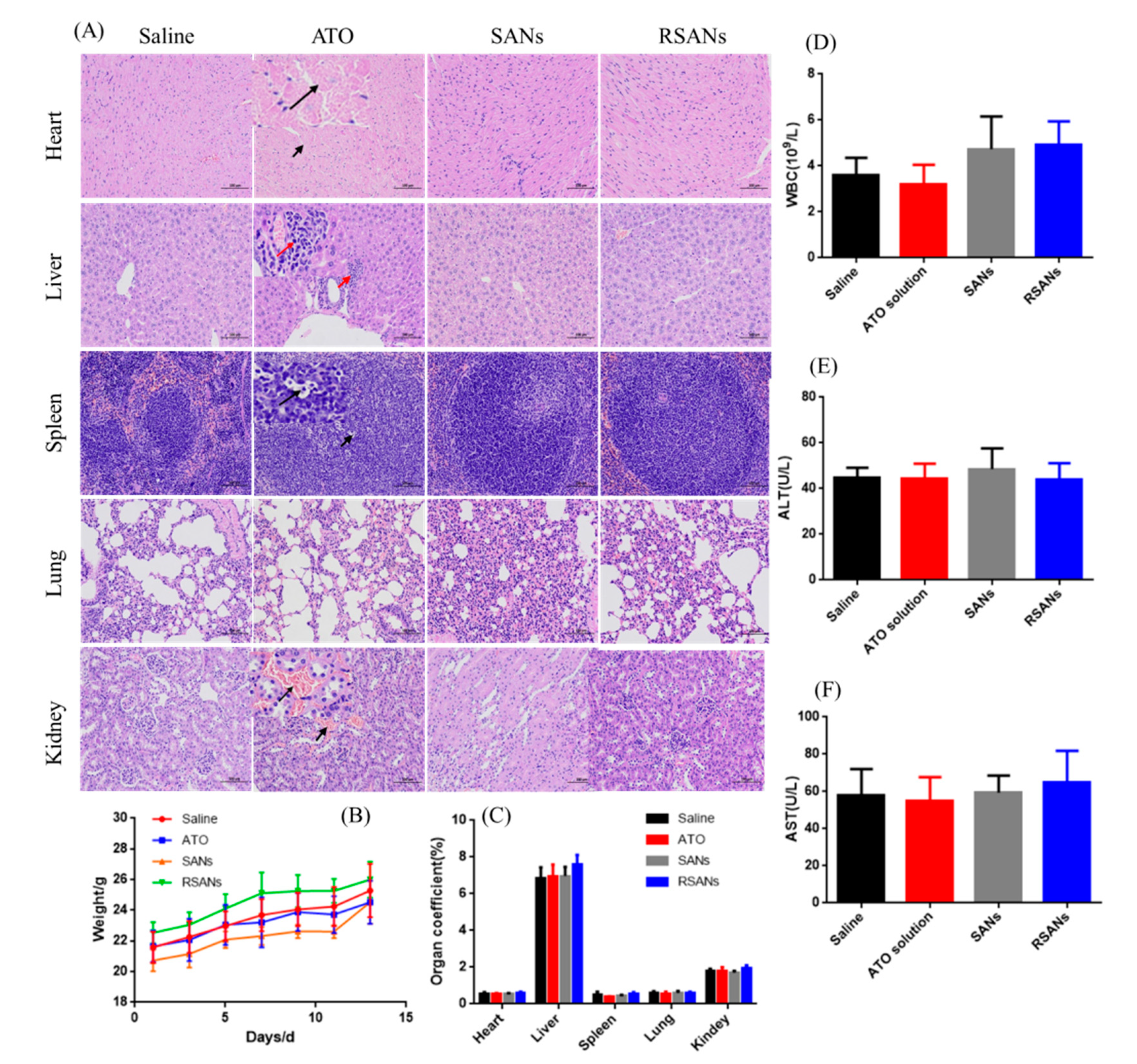 Pharmaceutics 12 00021 g010
