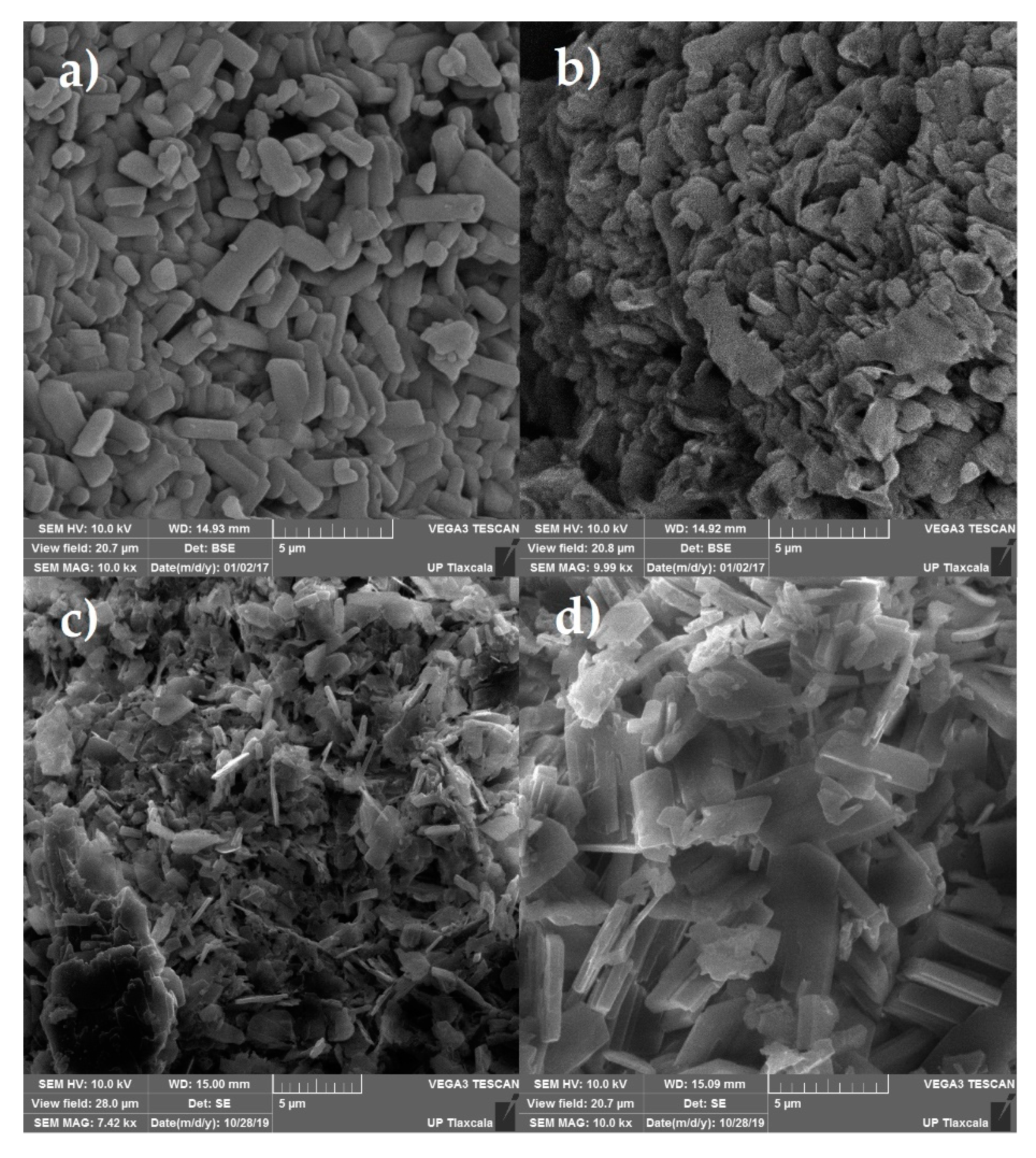Pharmaceutics 12 00023 g009 Pharmaceutics 12 00023 g009