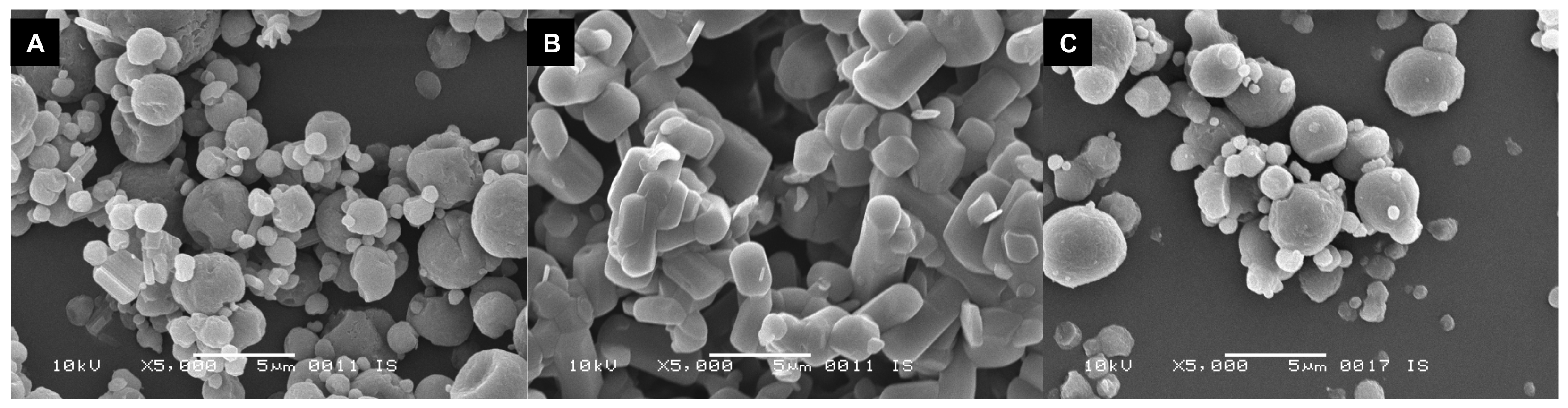Pharmaceutics 12 00024 g005 Pharmaceutics 12 00024 g005
