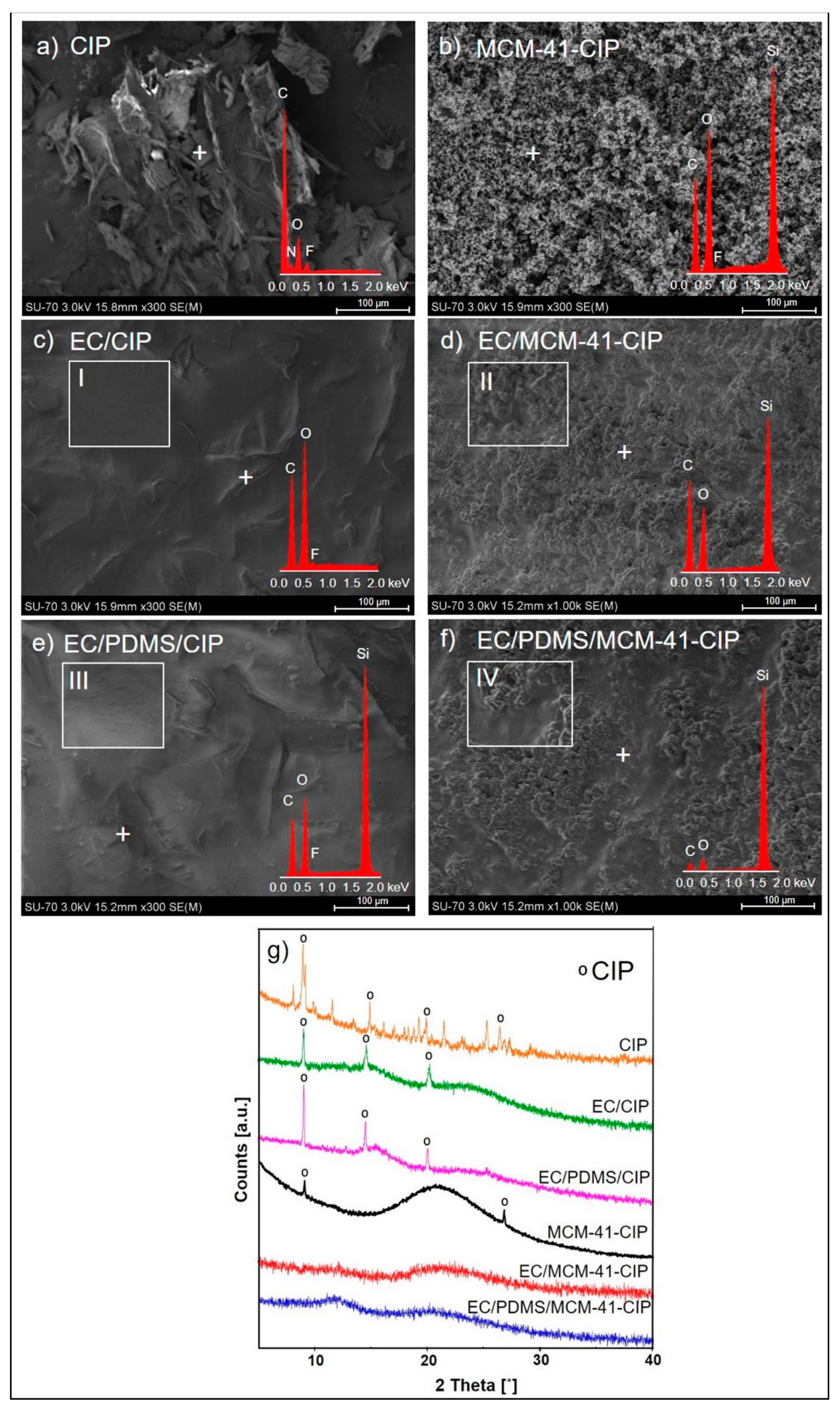 Pharmaceutics 12 00028 g002