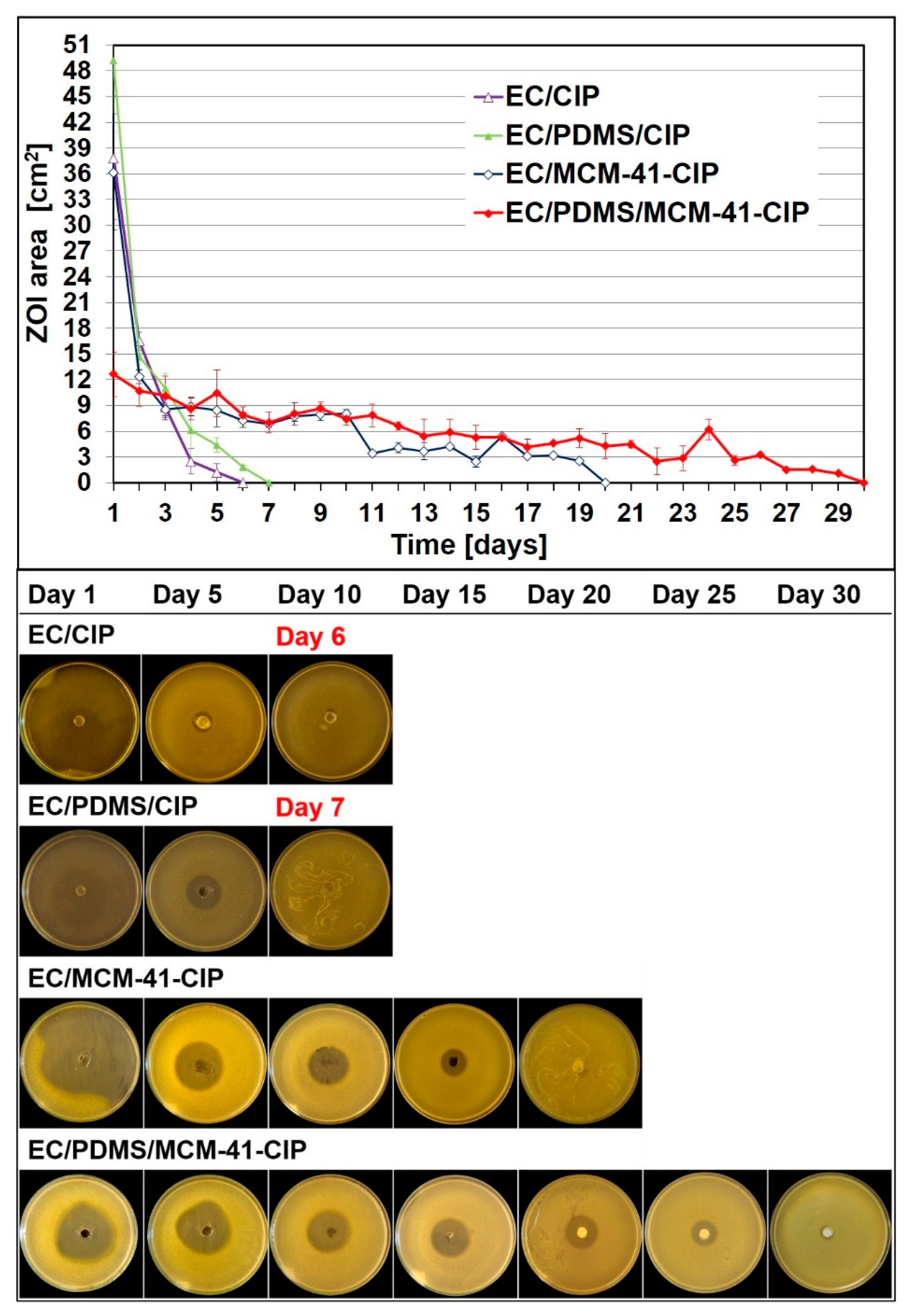 Pharmaceutics 12 00028 g005