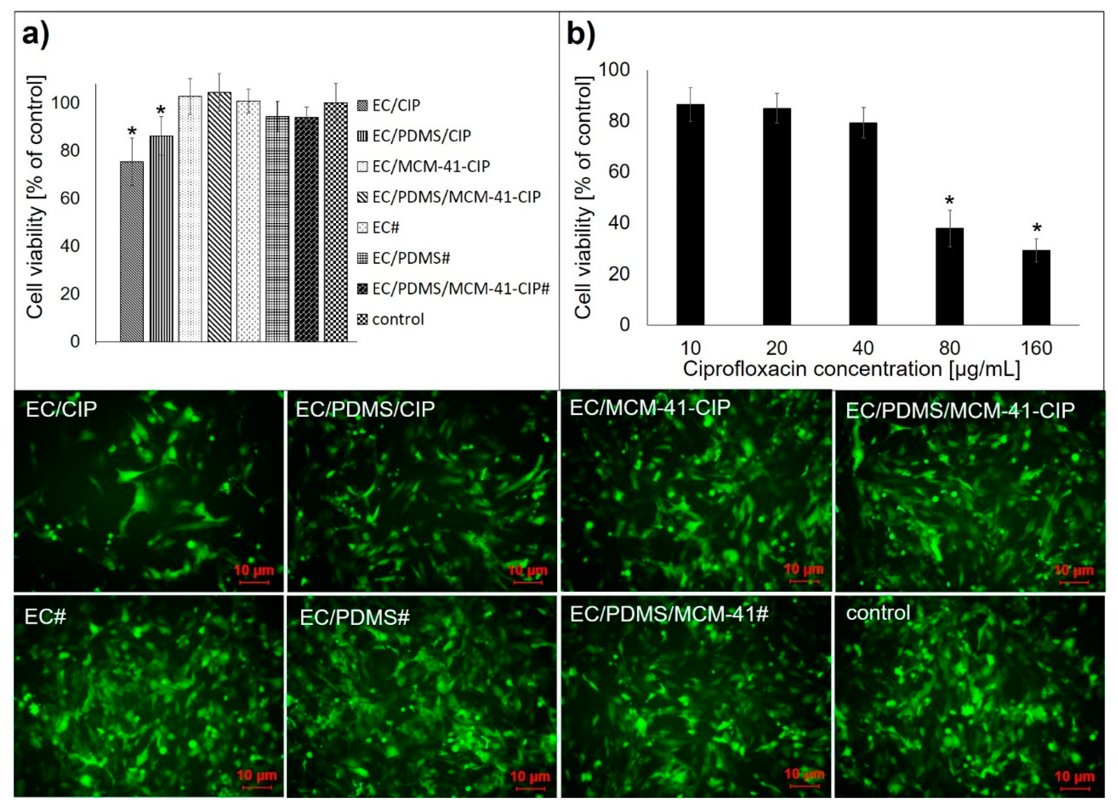 Pharmaceutics 12 00028 g006