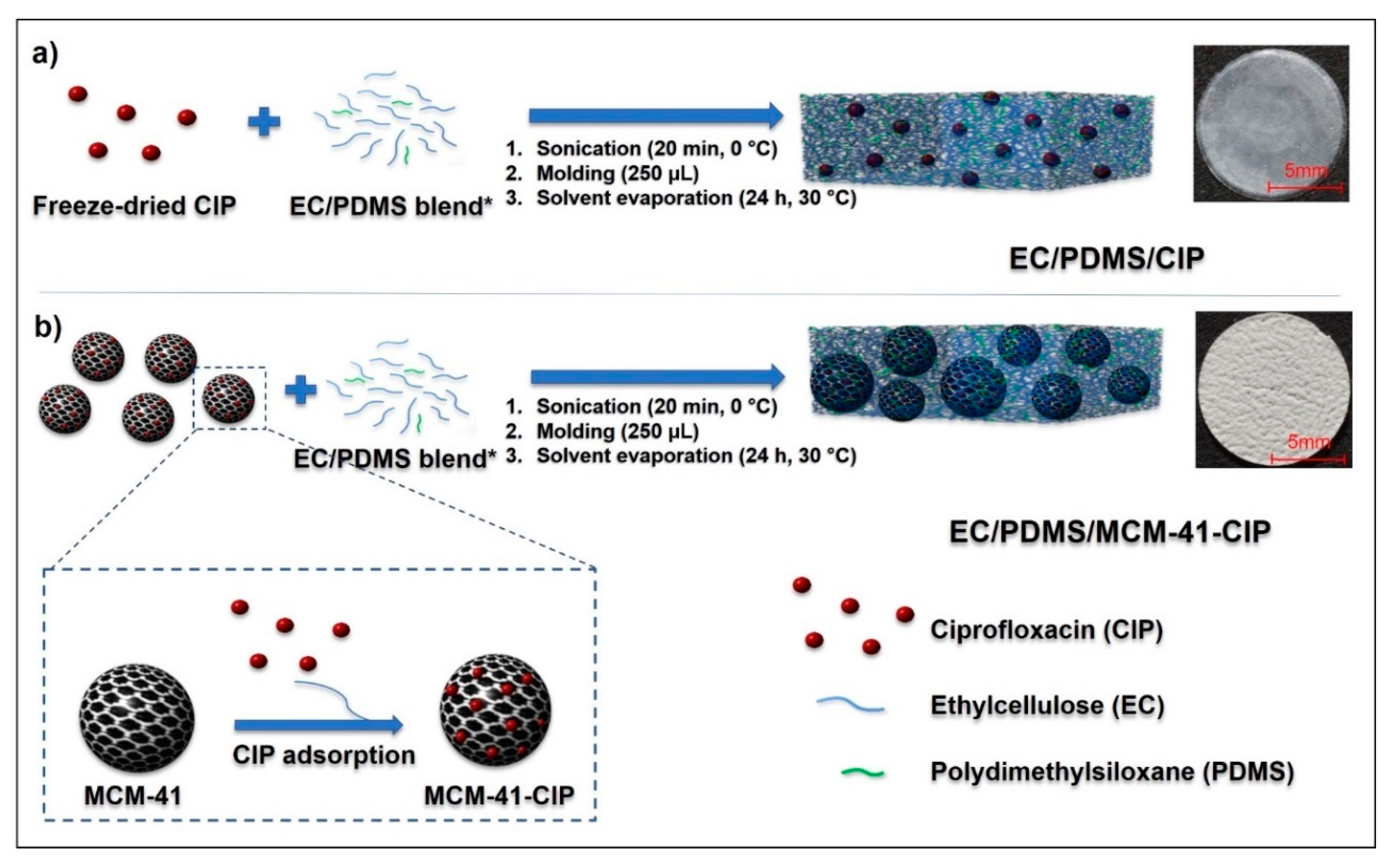 Pharmaceutics 12 00028 sch001