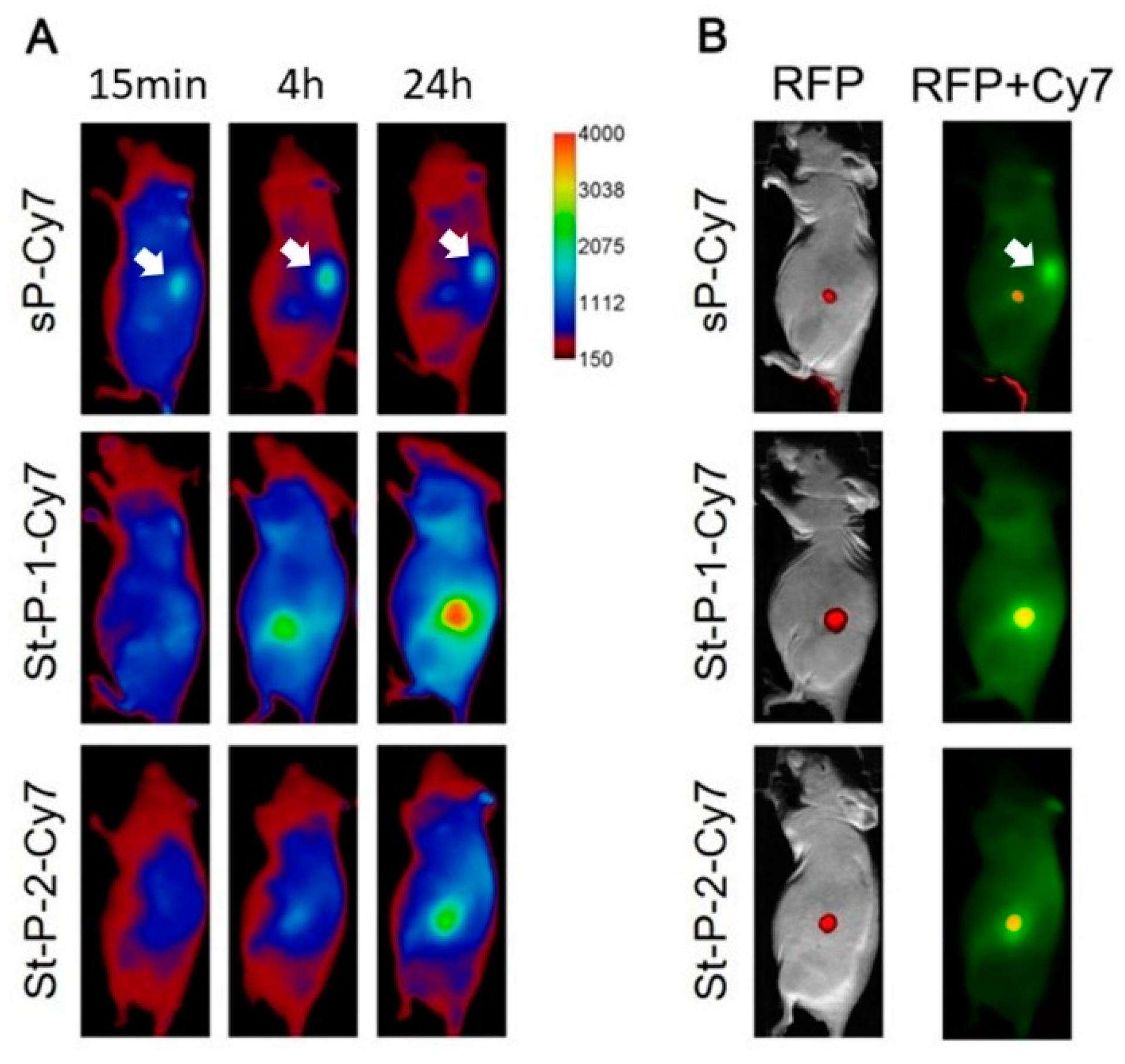 Pharmaceutics 12 00031 g005