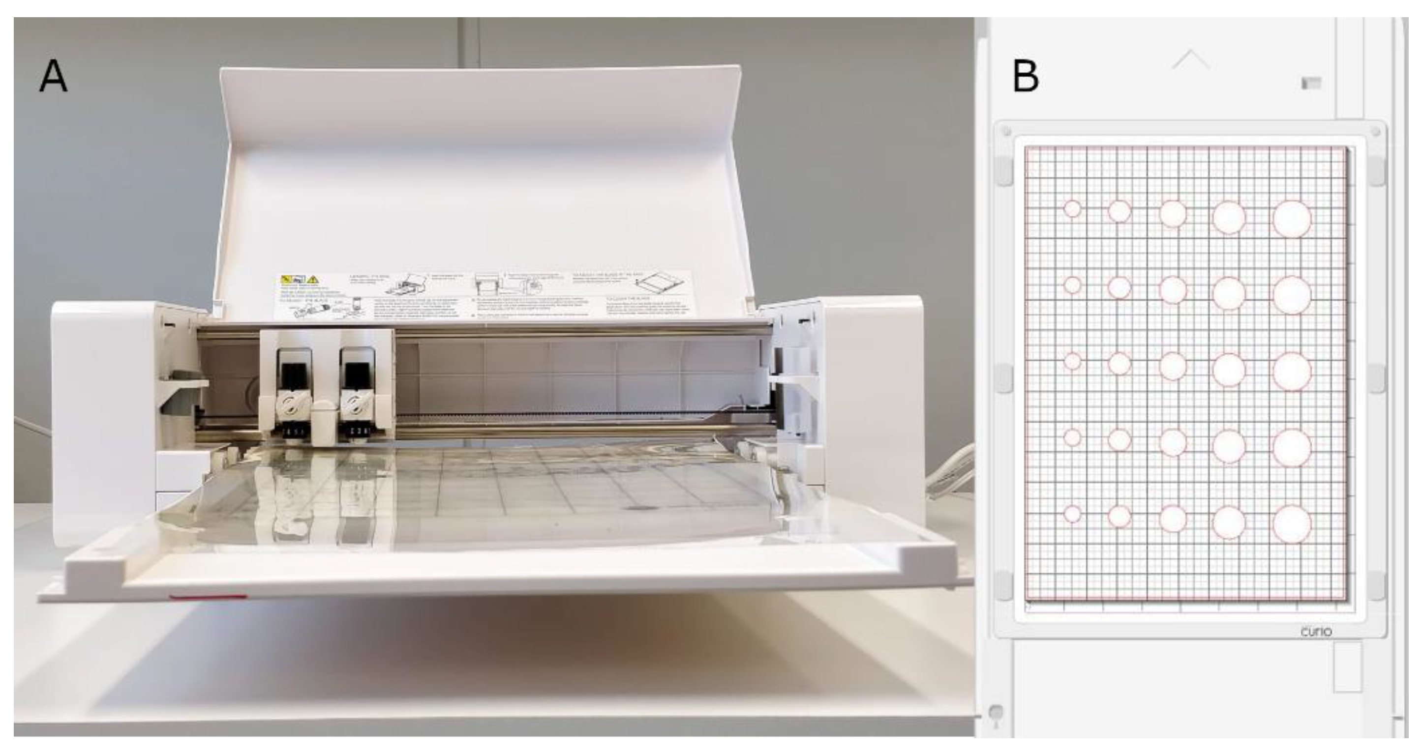 Pharmaceutics 12 00033 g002