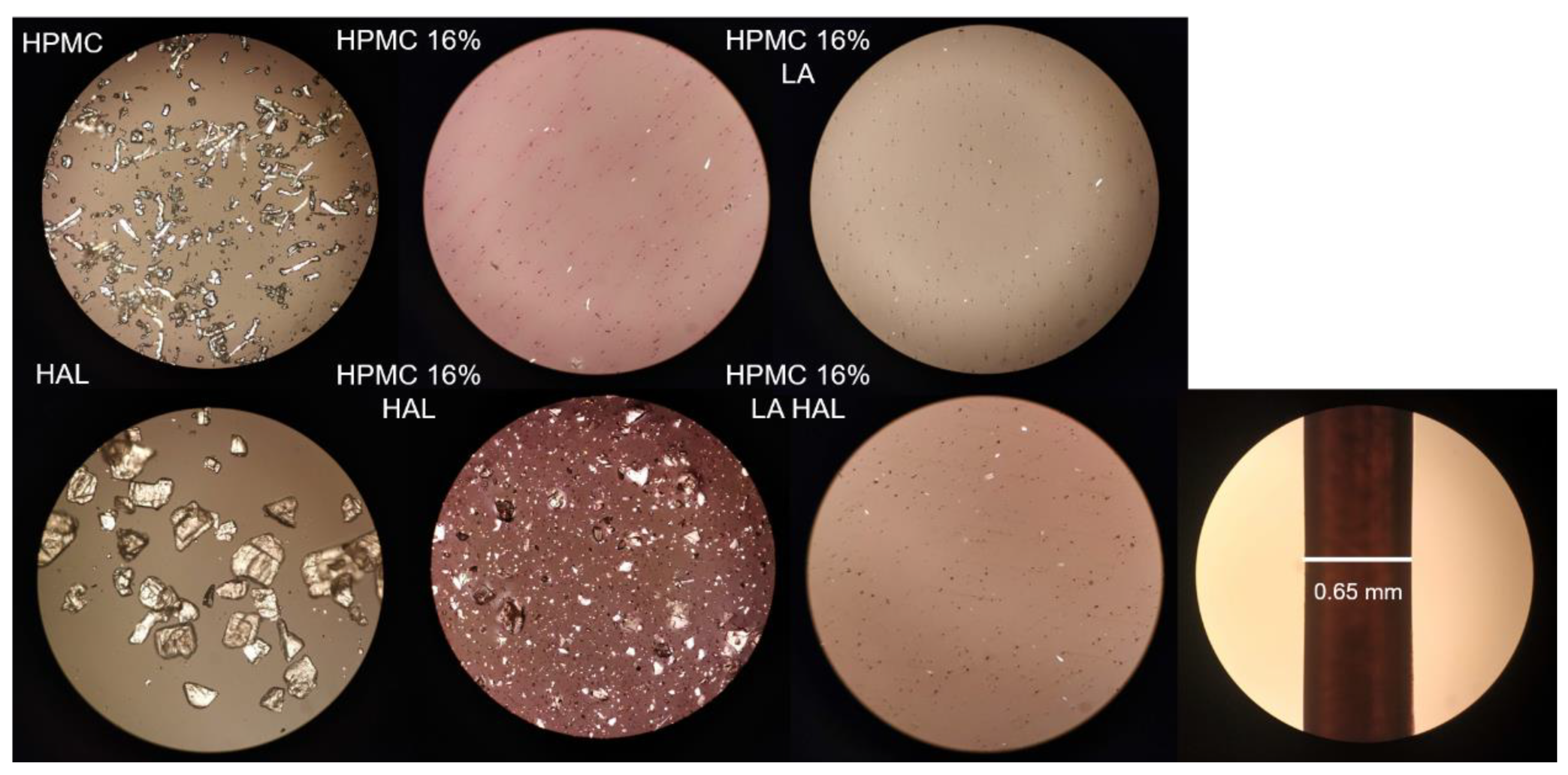 Pharmaceutics 12 00033 g008