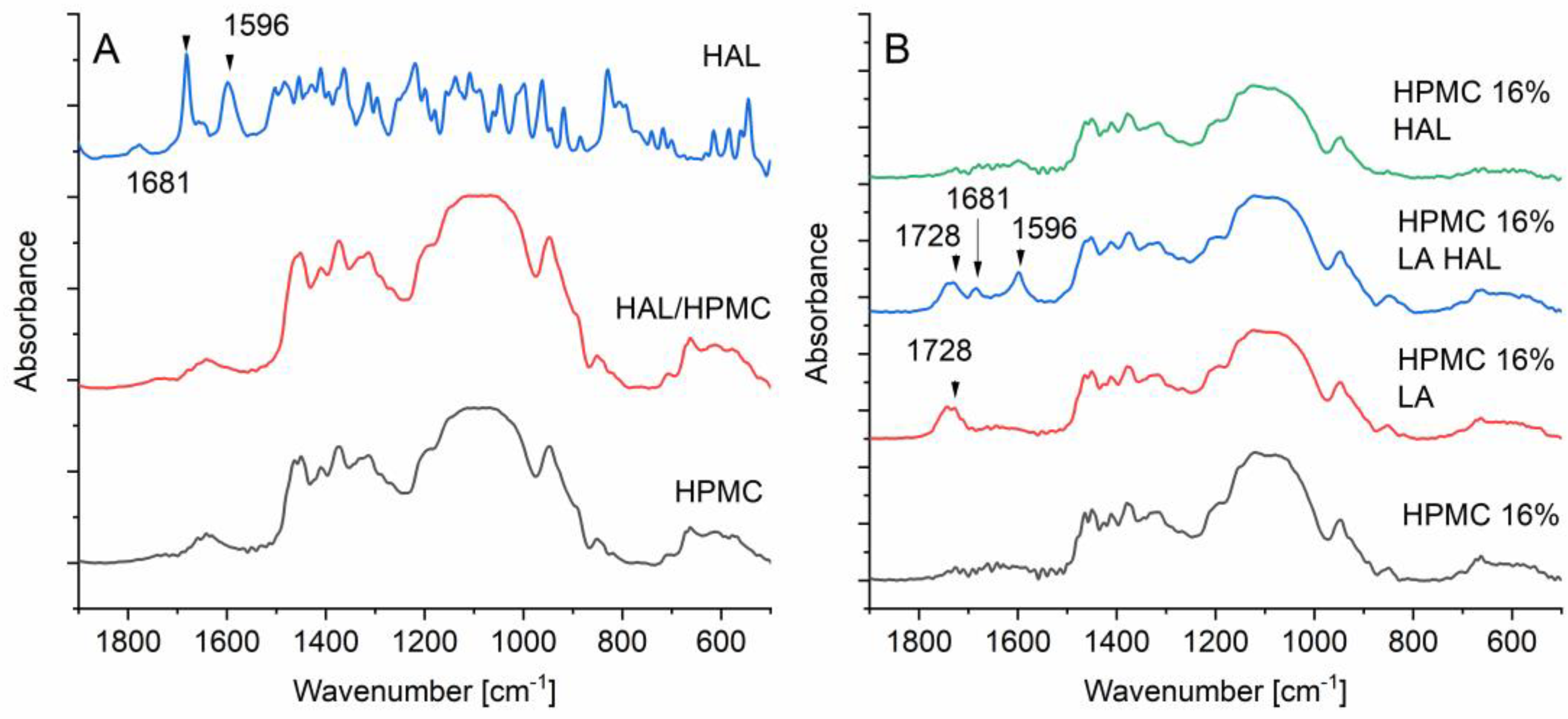 Pharmaceutics 12 00033 g011