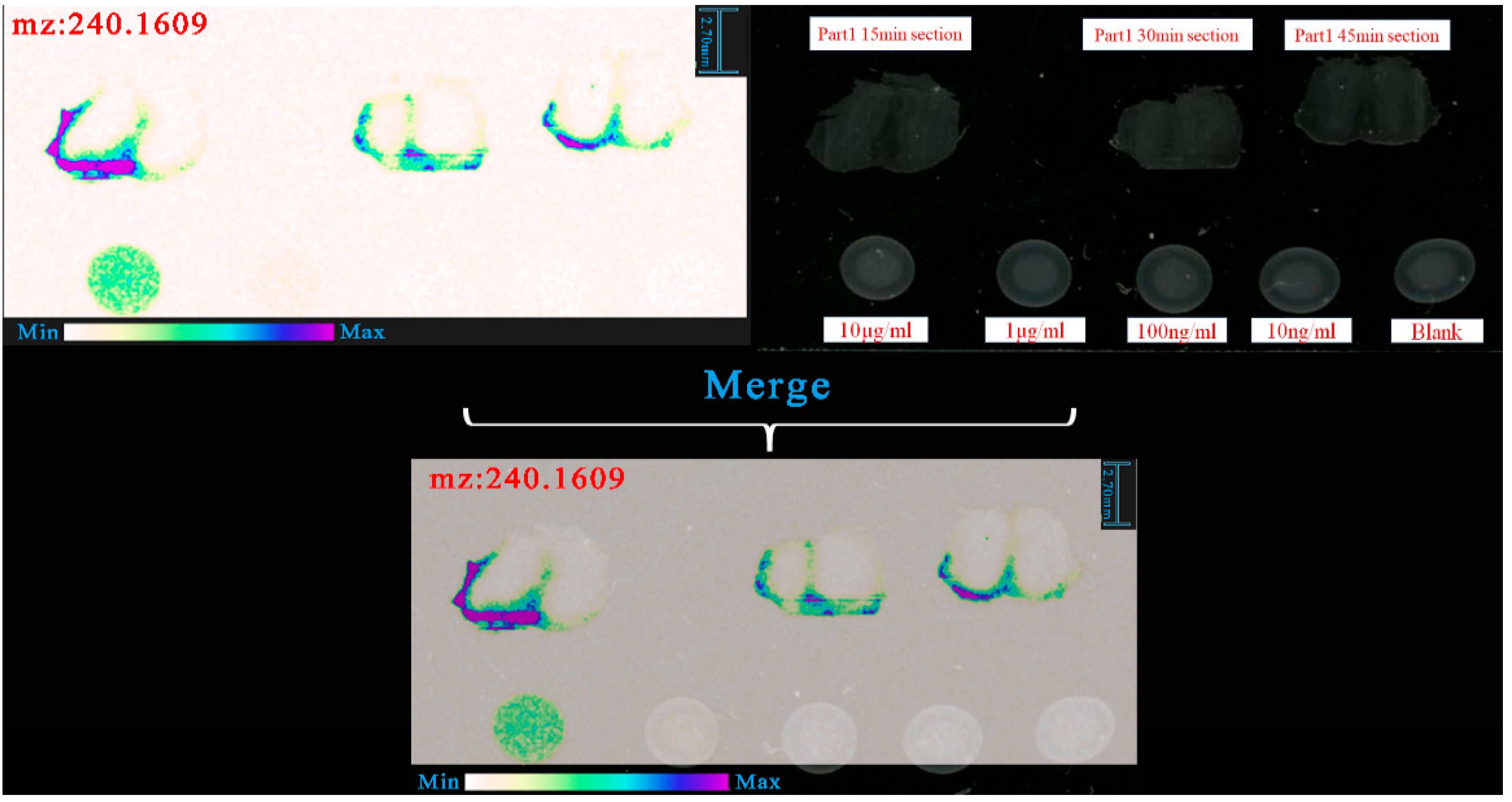 Pharmaceutics 12 00035 g004