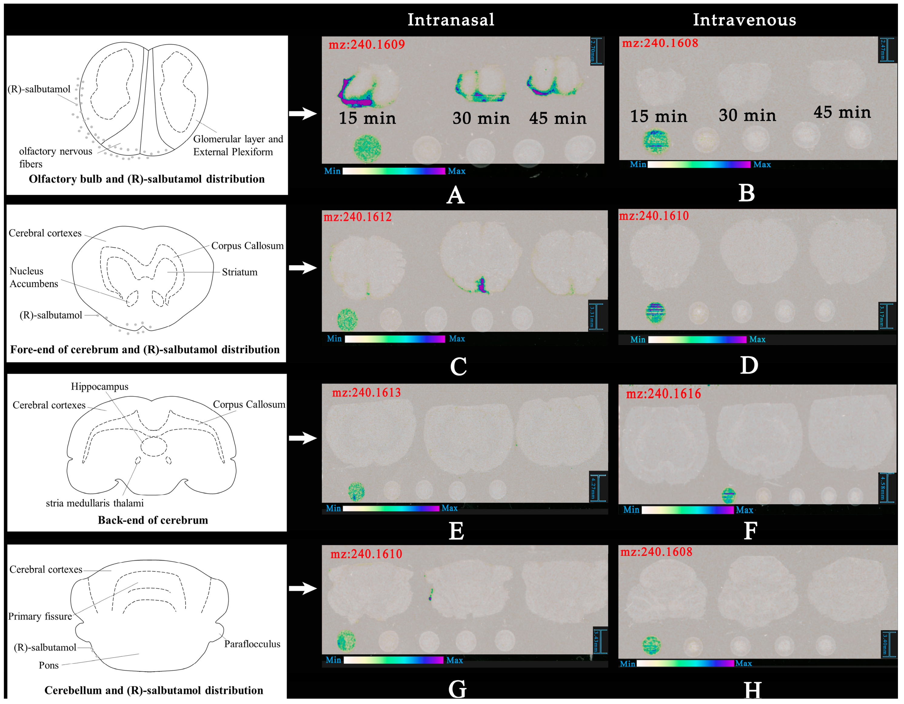 Pharmaceutics 12 00035 g005