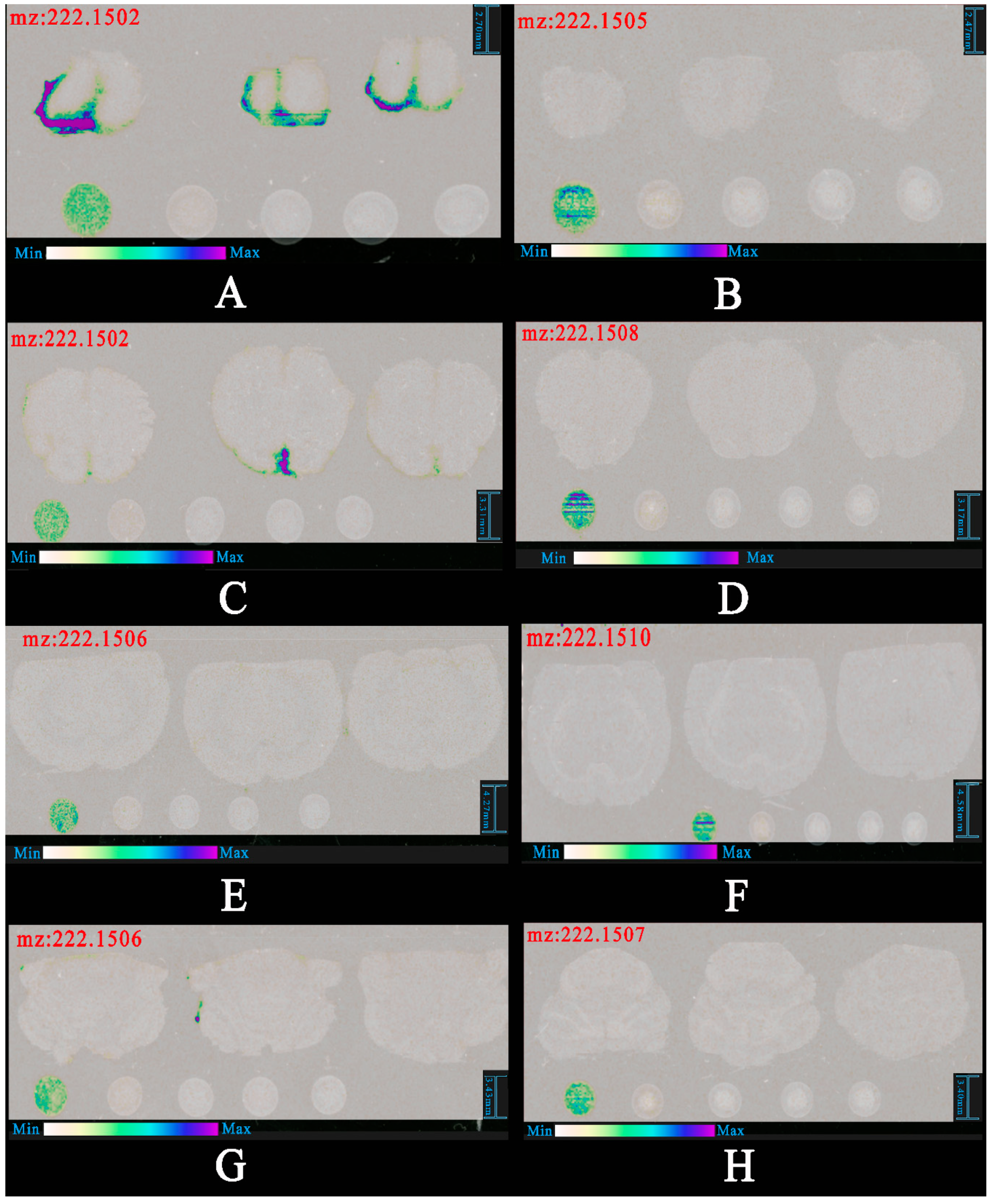 Pharmaceutics 12 00035 g007
