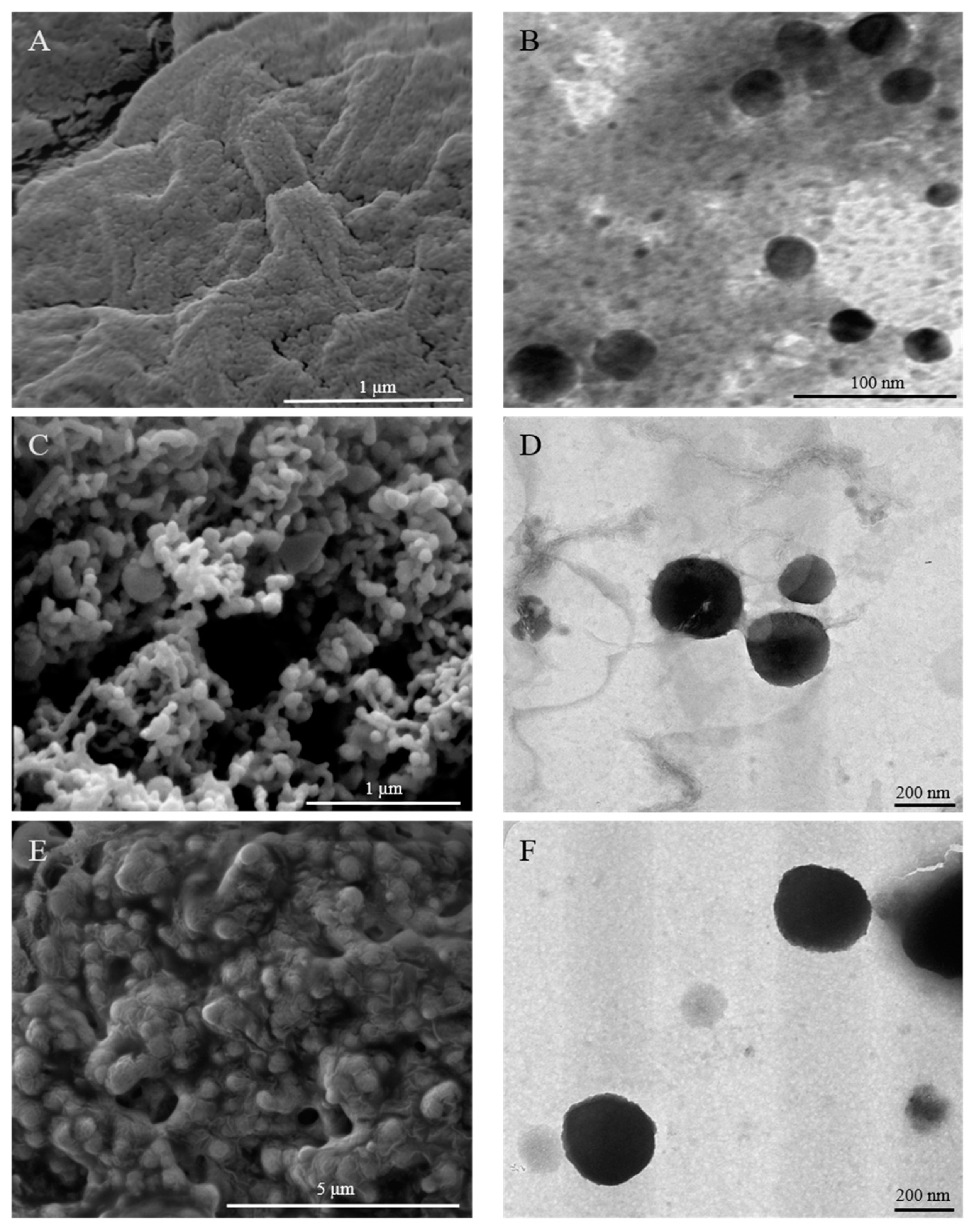 Pharmaceutics 12 00038 g004 Pharmaceutics 12 00038 g004
