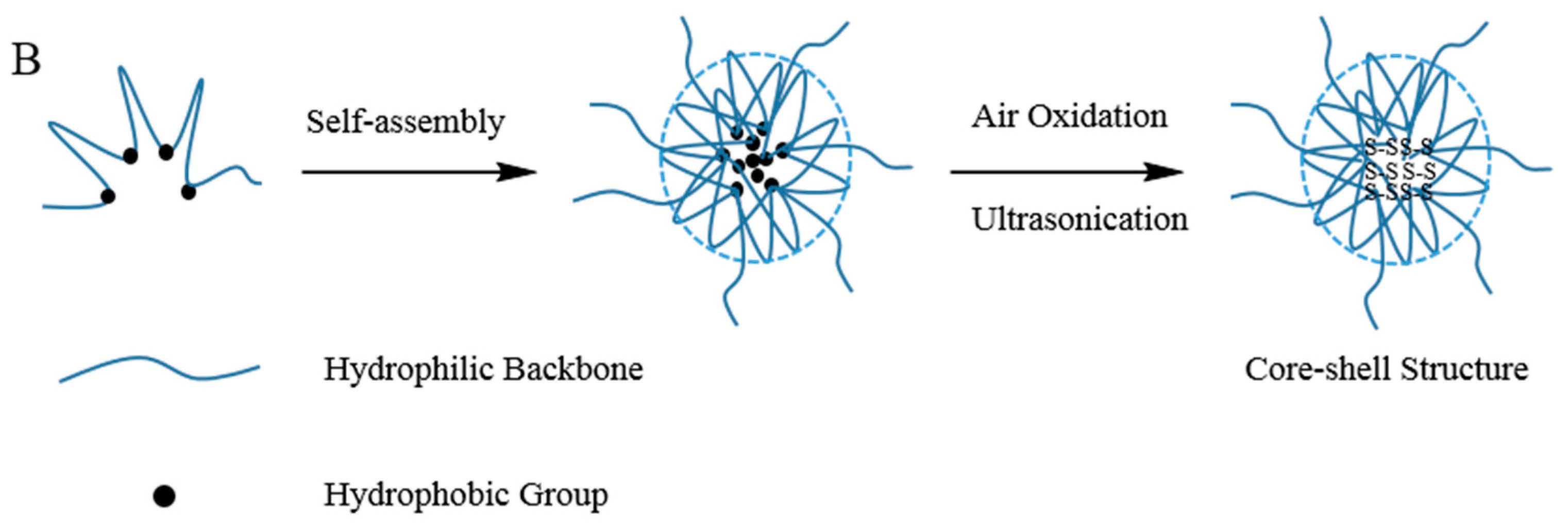 Pharmaceutics 12 00038 sch001b Pharmaceutics 12 00038 sch001b