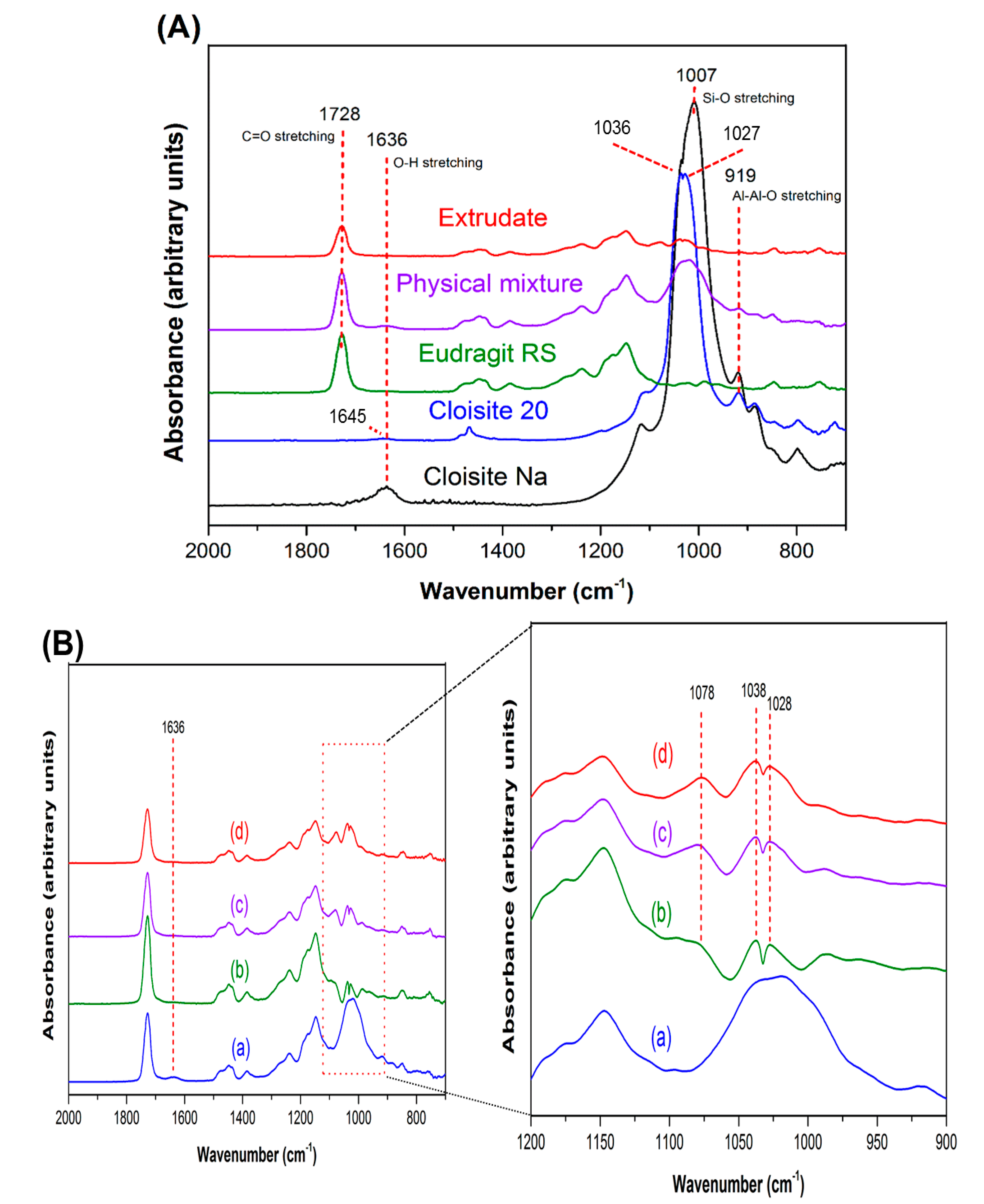 Pharmaceutics 12 00051 g005
