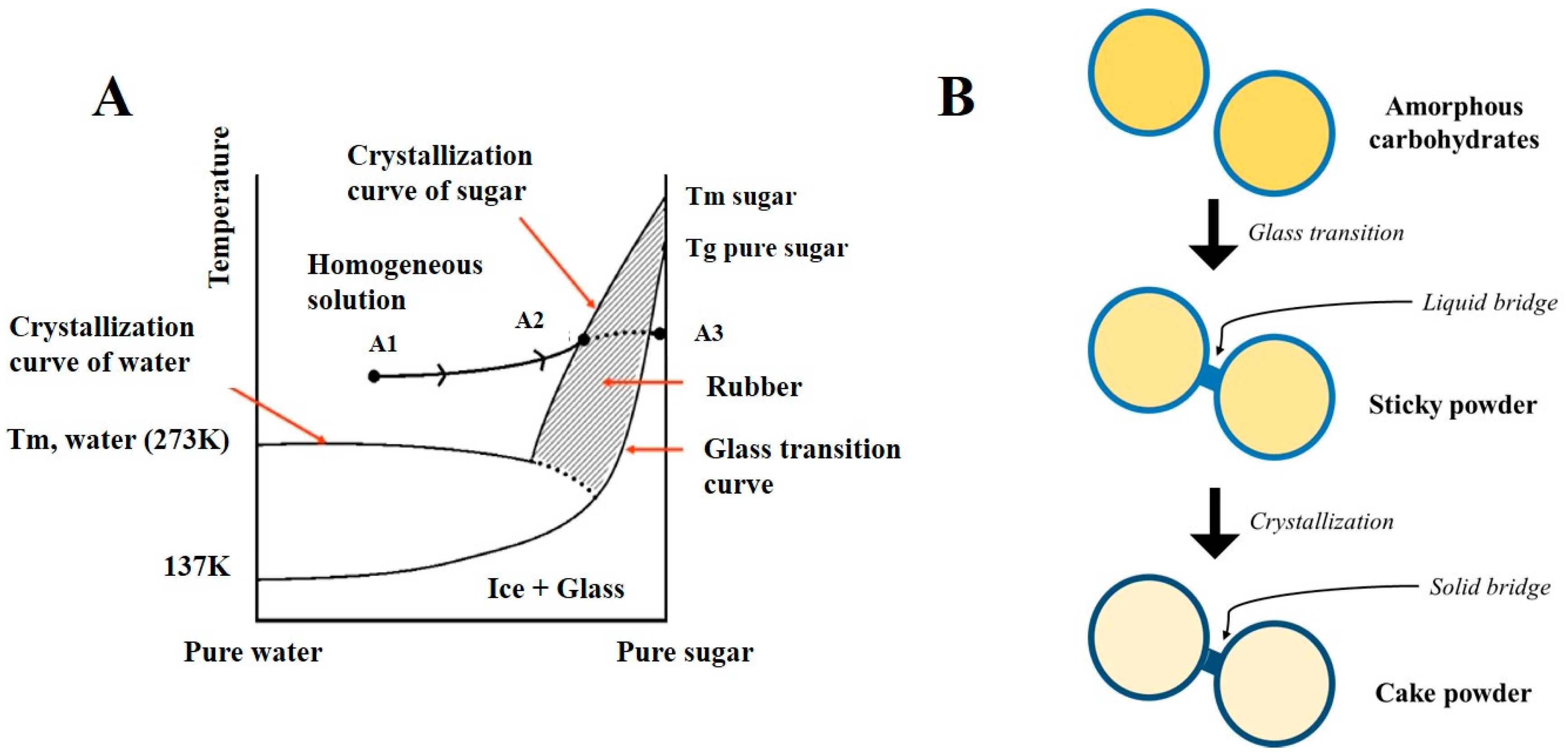 Pharmaceutics 12 00055 g003
