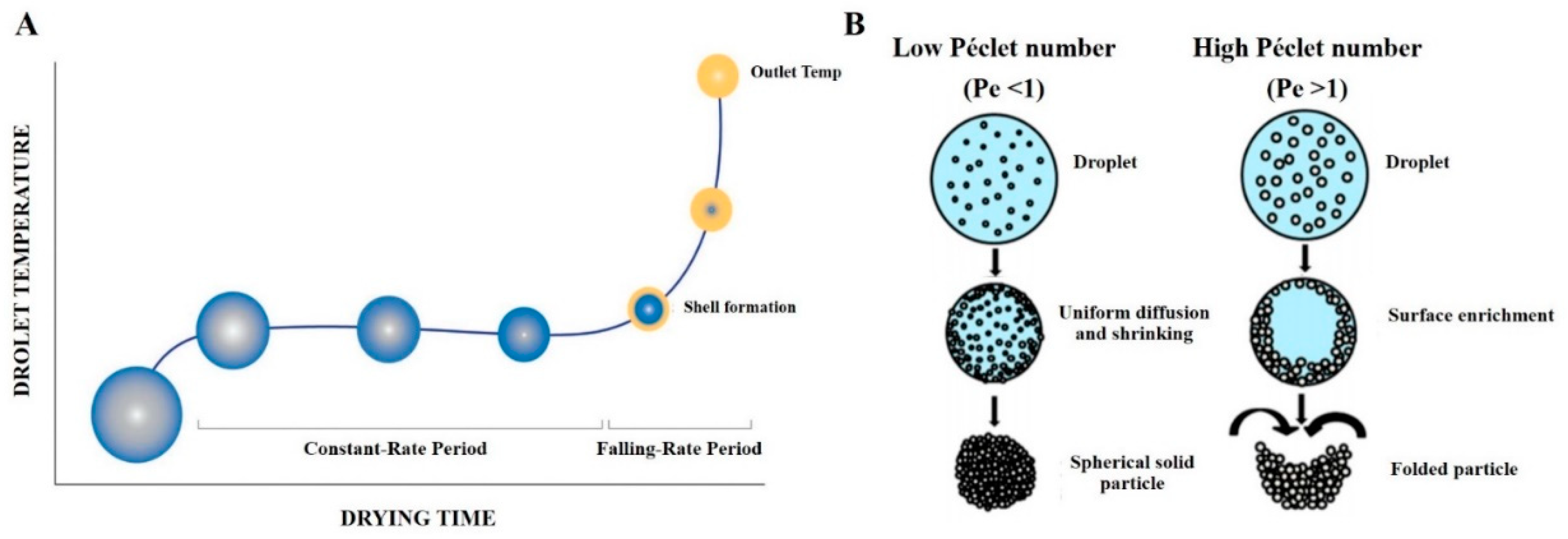 Pharmaceutics 12 00055 g005