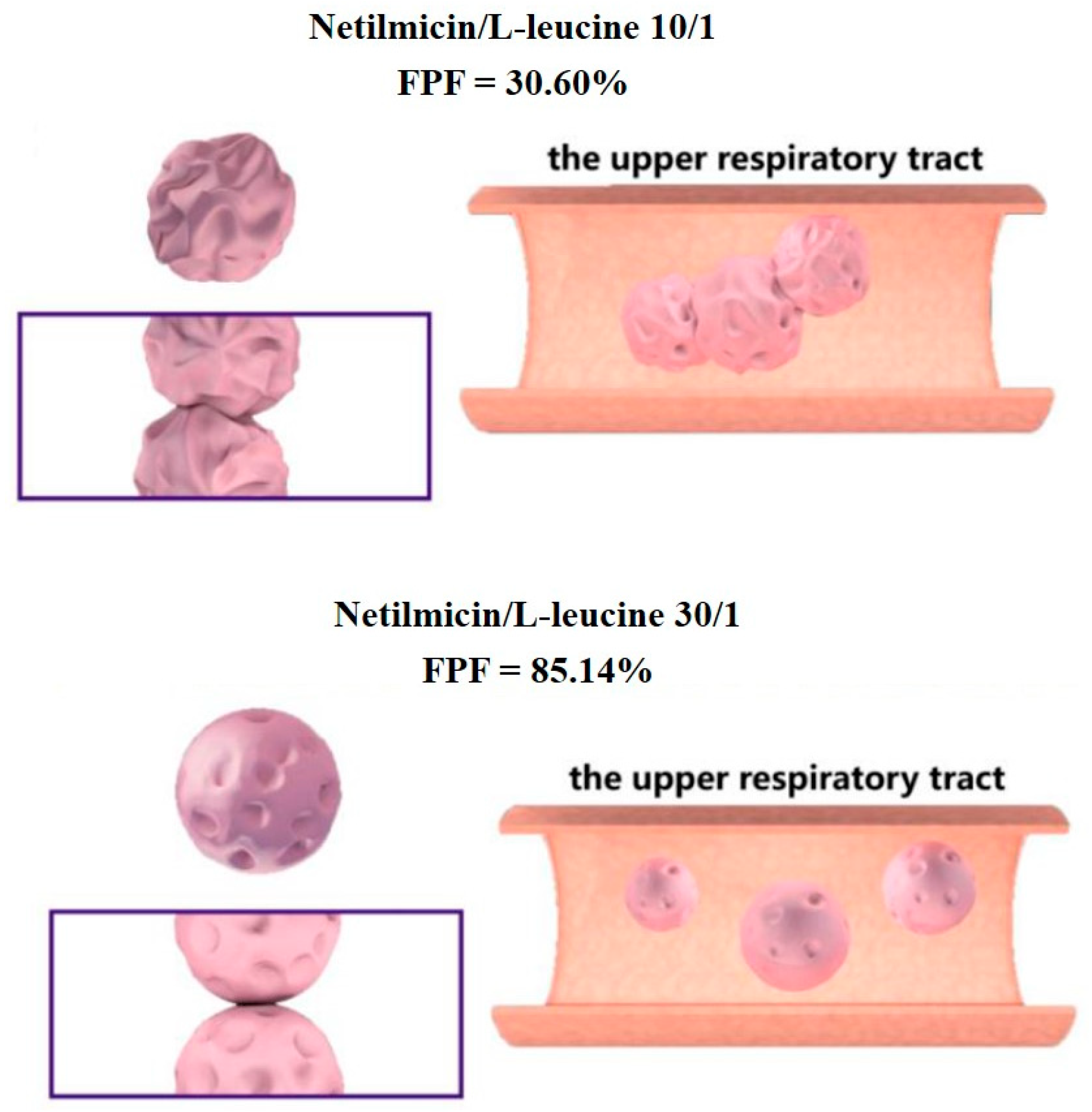 Pharmaceutics 12 00055 g010