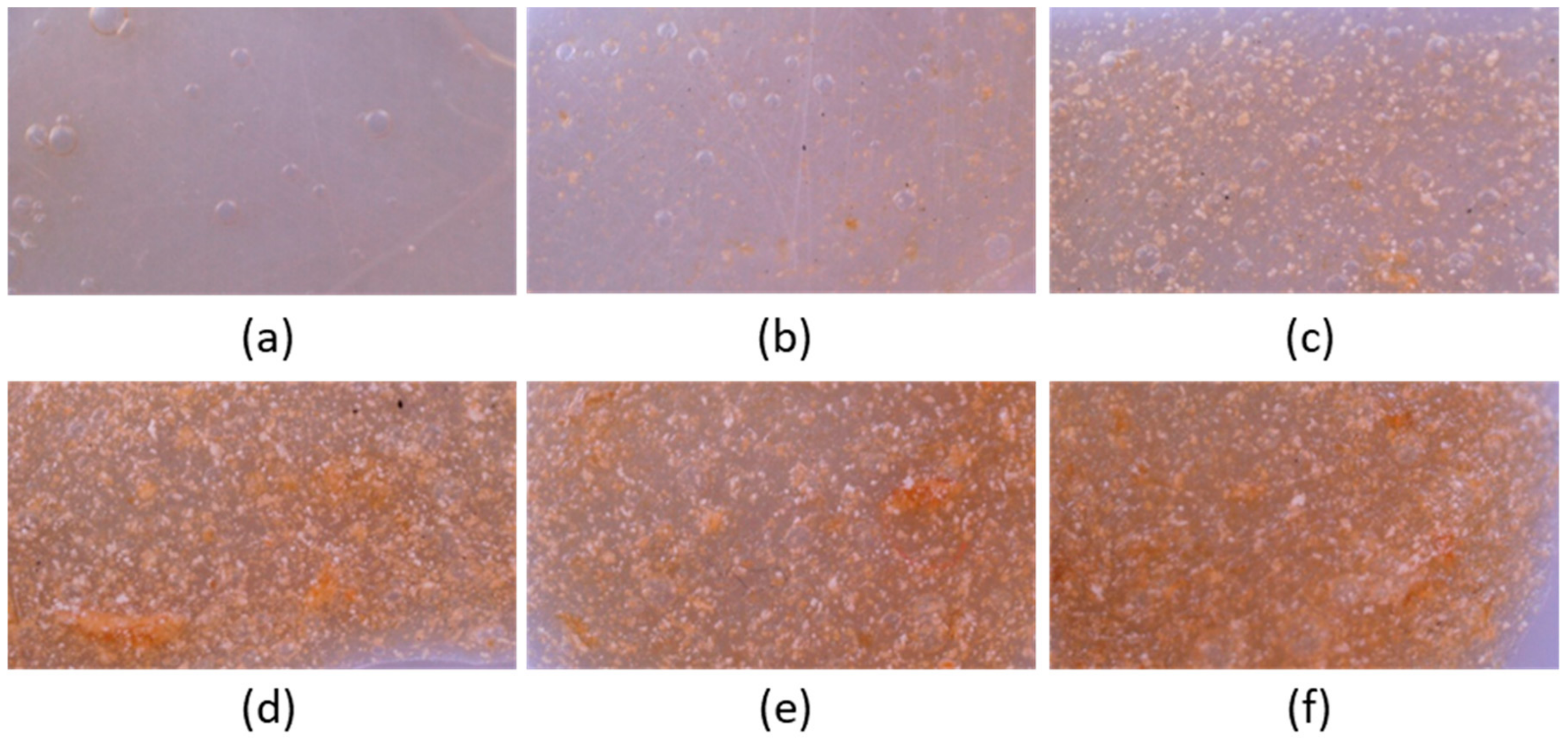 Pharmaceutics 12 00056 g005