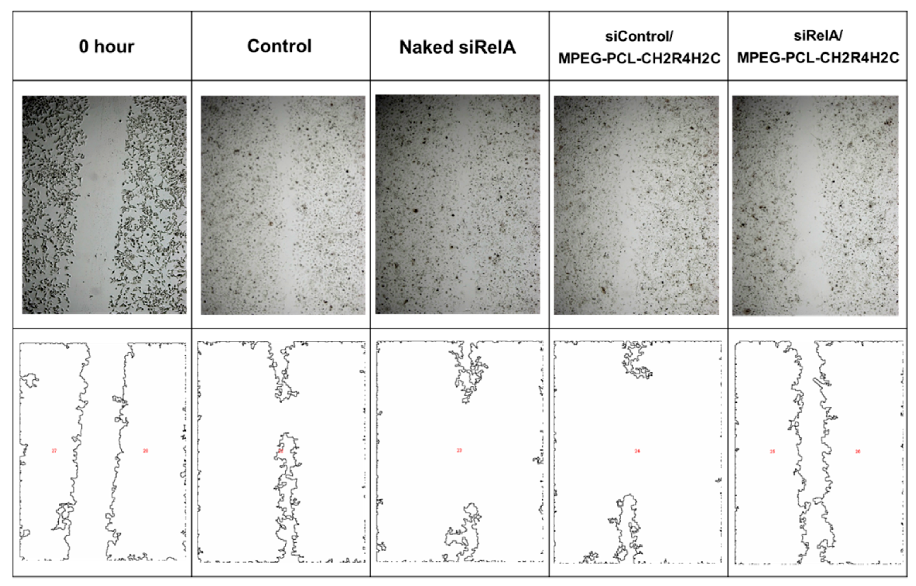 Pharmaceutics 12 00064 g002