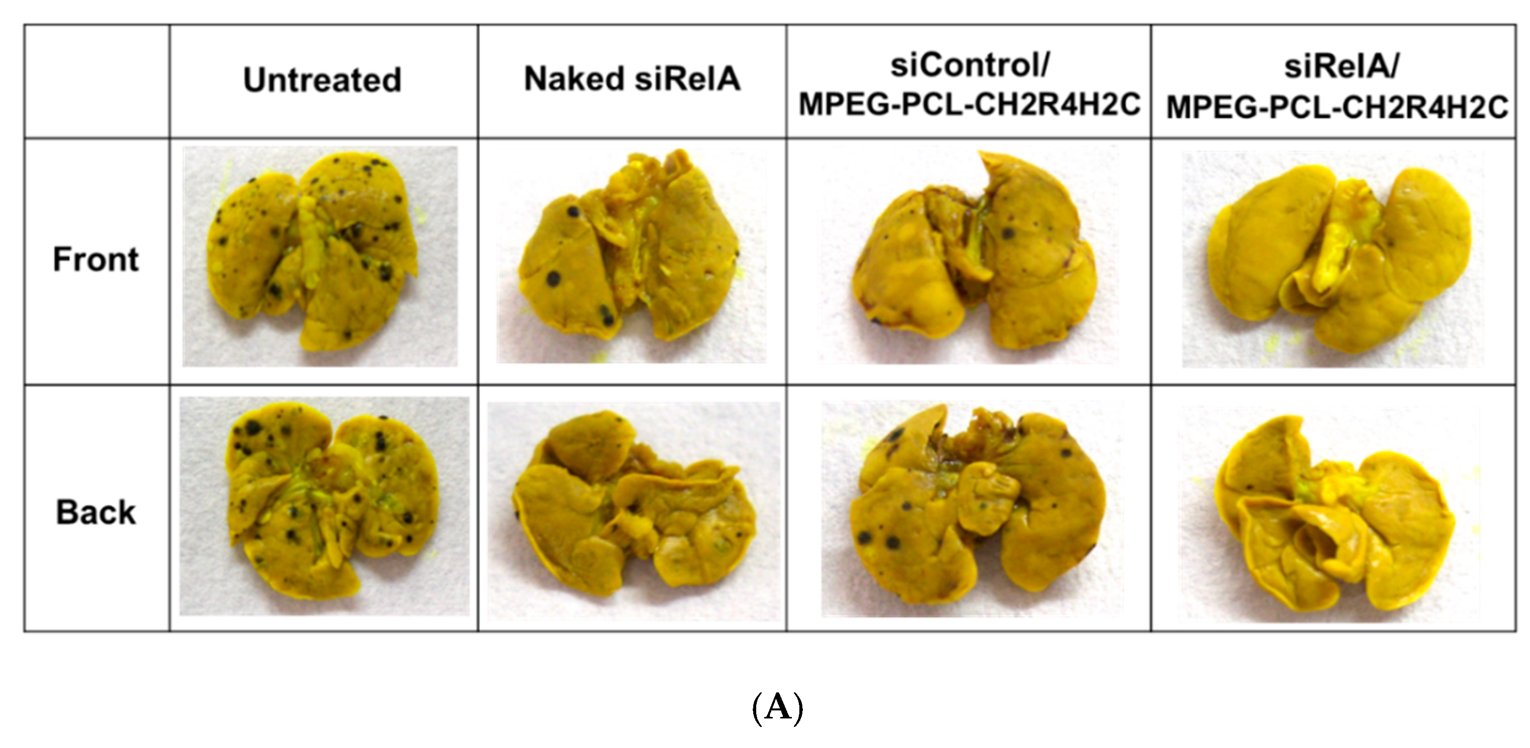Pharmaceutics 12 00064 g004a
