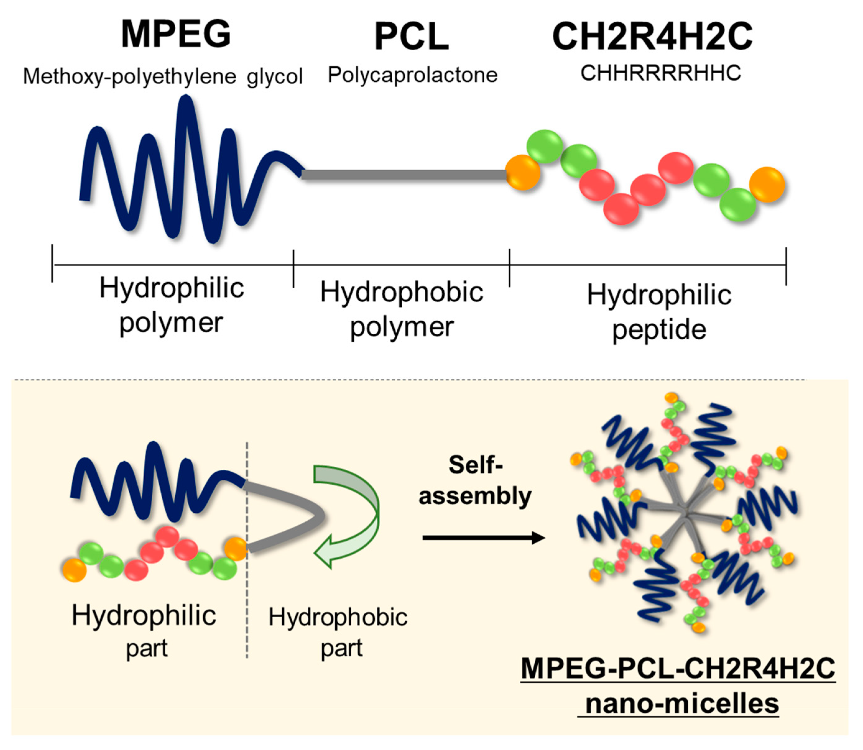 Pharmaceutics 12 00064 sch001