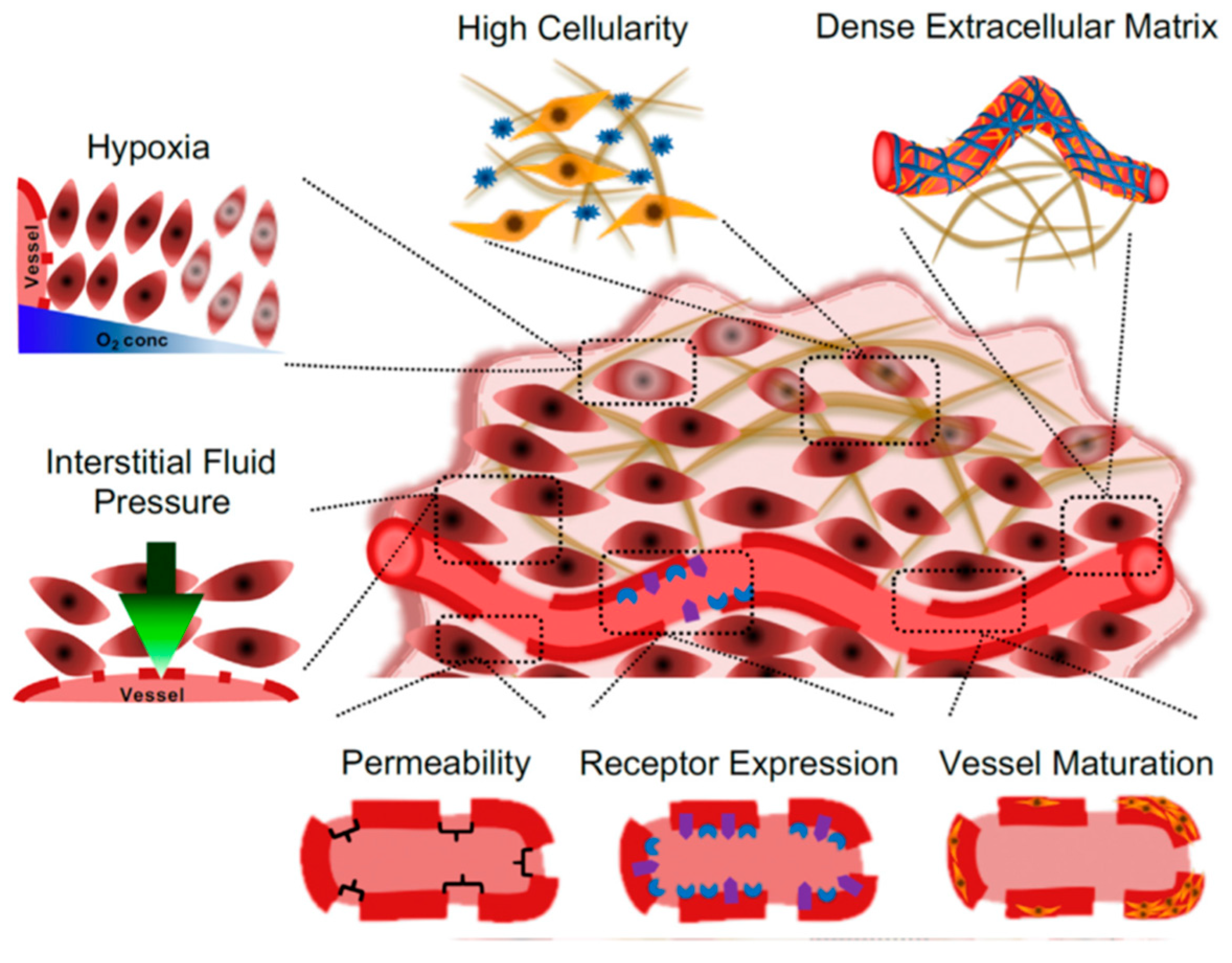 Pharmaceutics 12 00065 g002