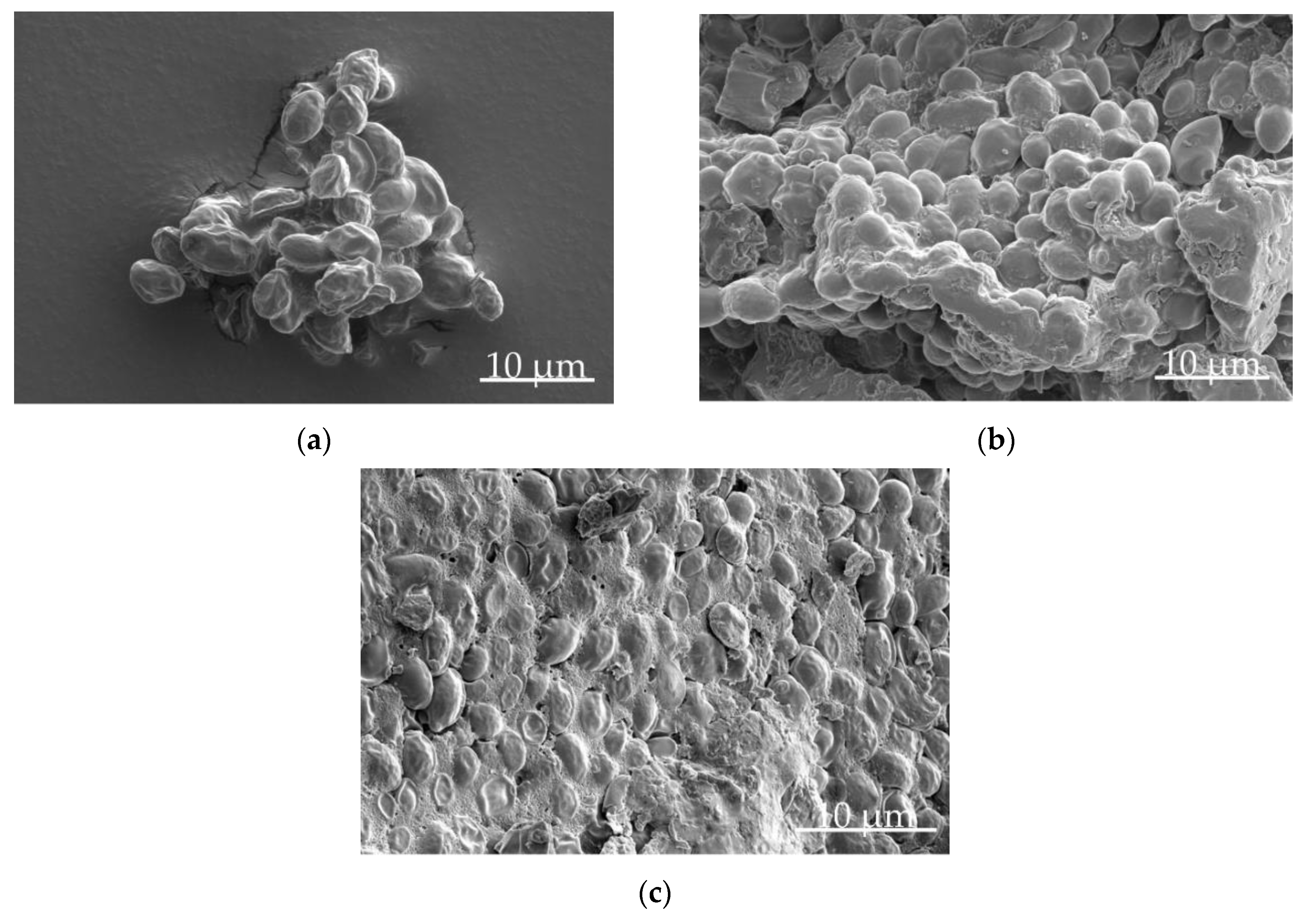 Pharmaceutics 12 00066 g003 Pharmaceutics 12 00066 g003