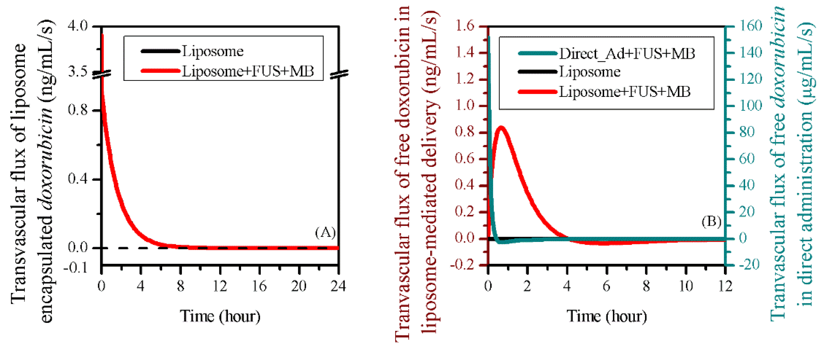 Pharmaceutics 12 00069 g007 Pharmaceutics 12 00069 g007