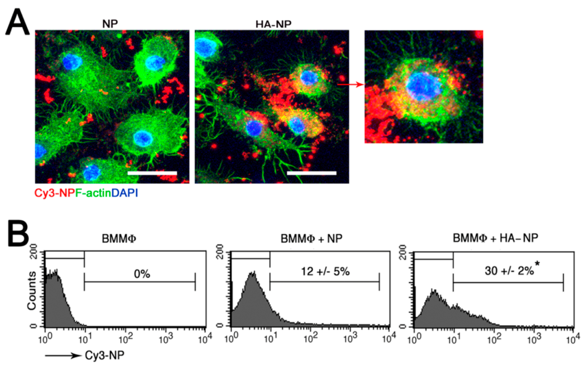 Pharmaceutics 12 00073 g001