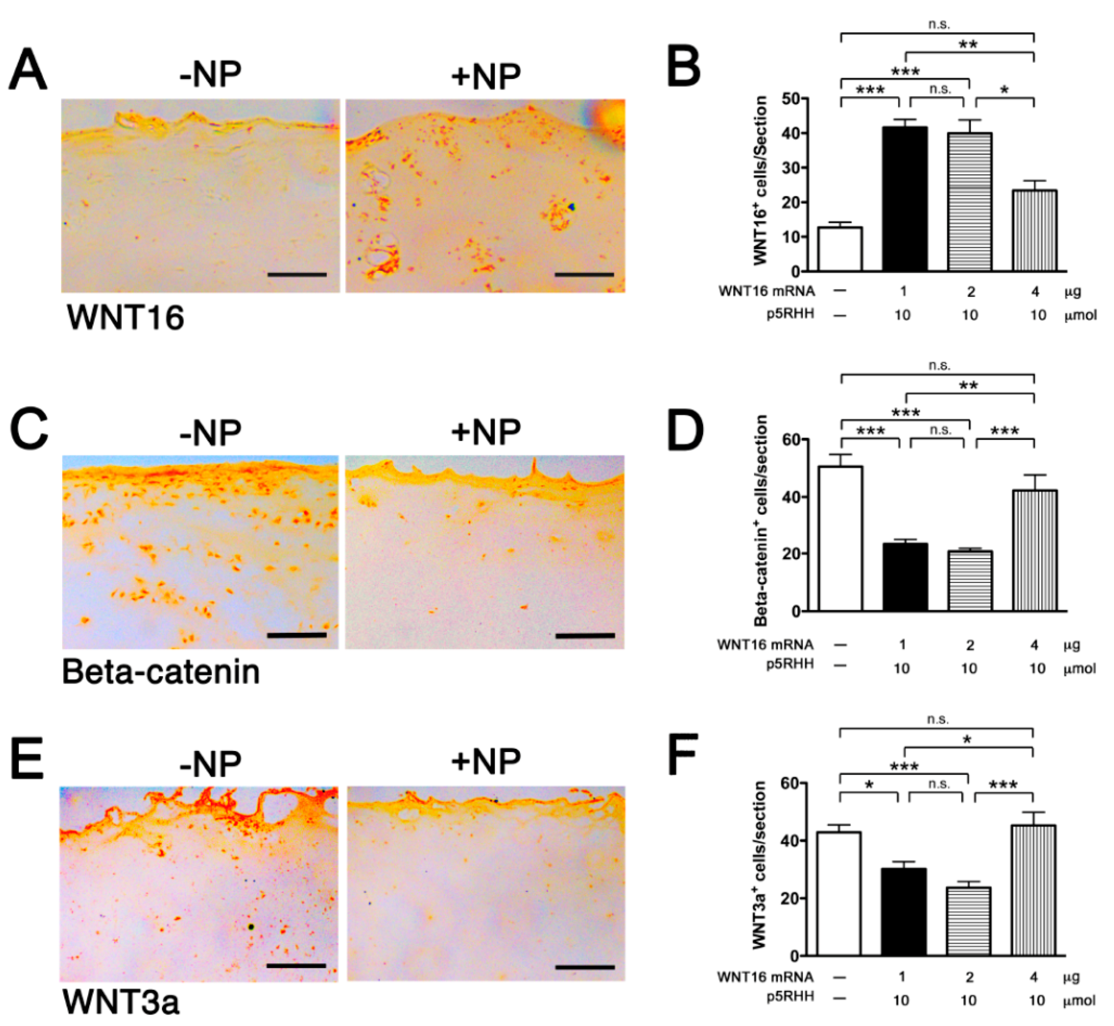 Pharmaceutics 12 00073 g005