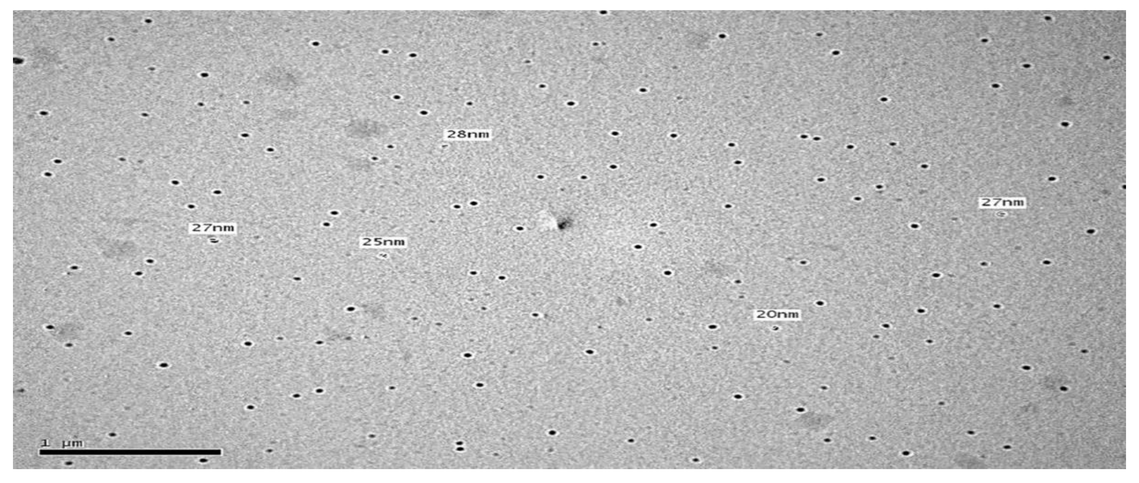 Pharmaceutics 12 00076 g004 Pharmaceutics 12 00076 g004