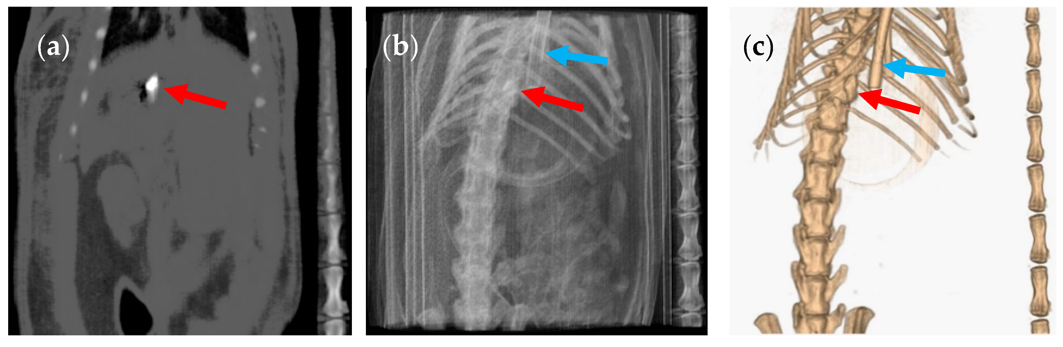 Pharmaceutics 12 00081 g002