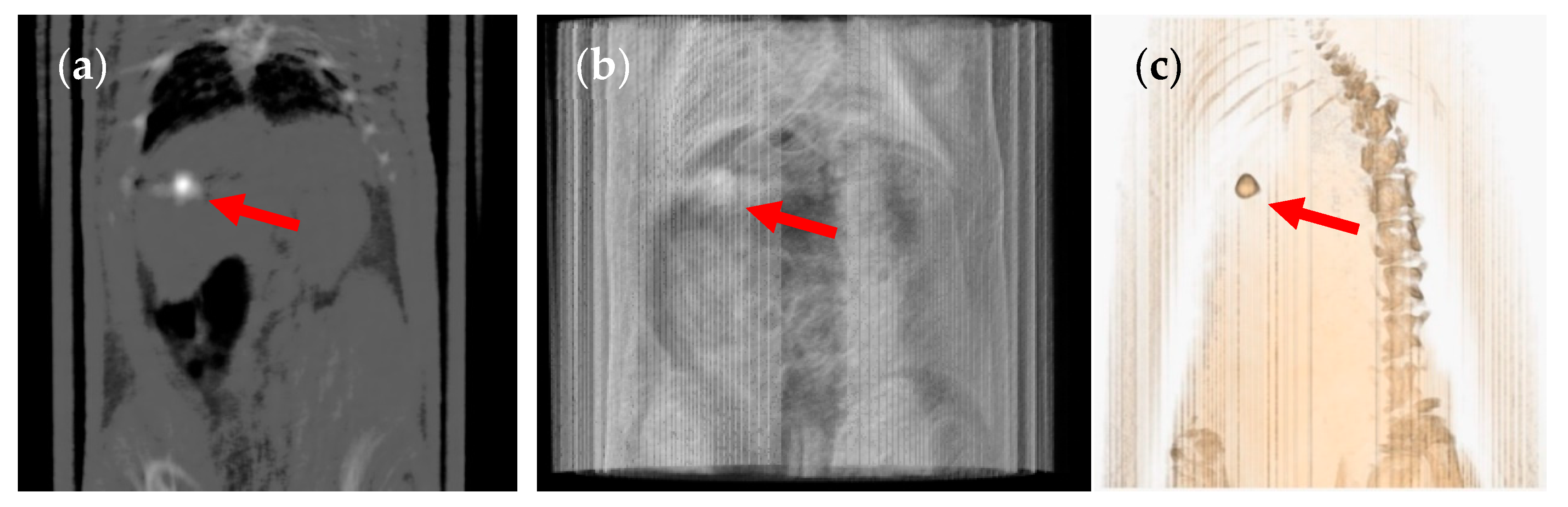 Pharmaceutics 12 00081 g005