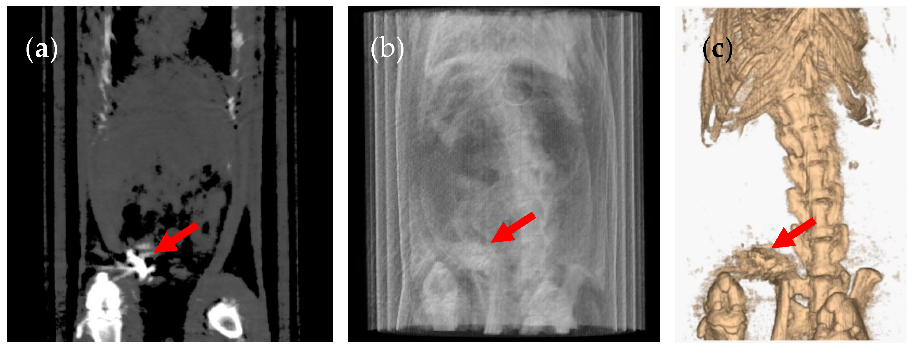Pharmaceutics 12 00081 g007