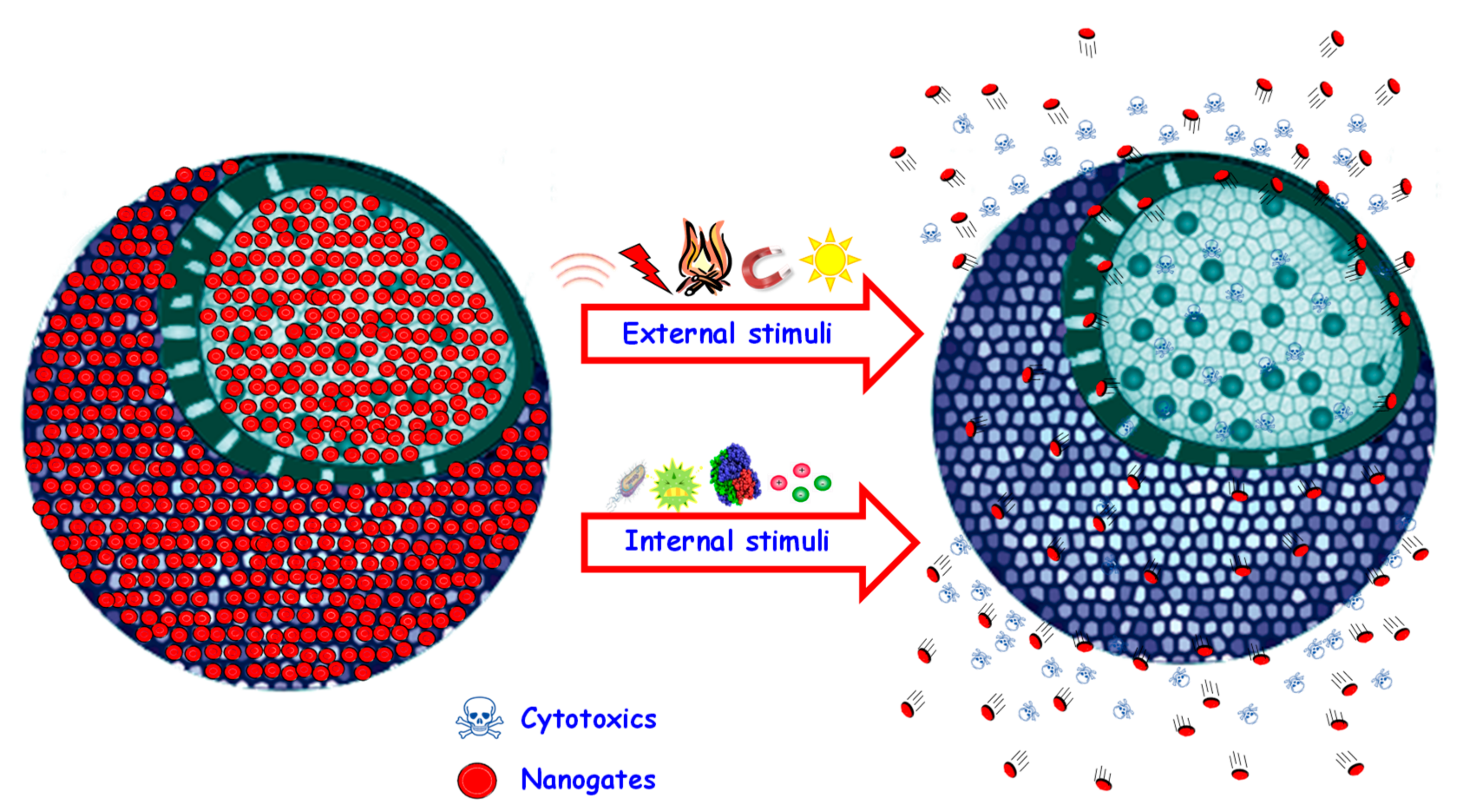 Pharmaceutics 12 00083 g002