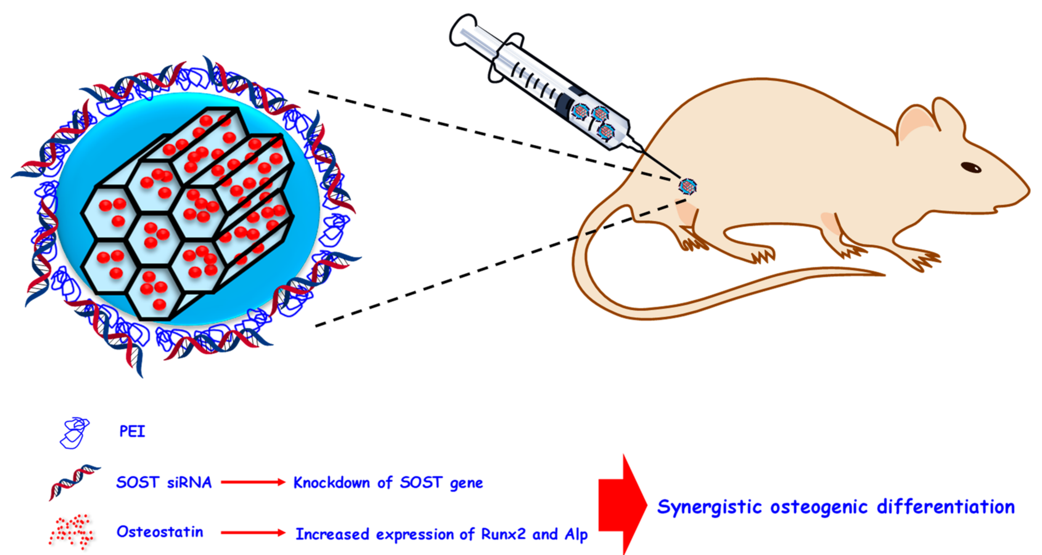 Pharmaceutics 12 00083 g007