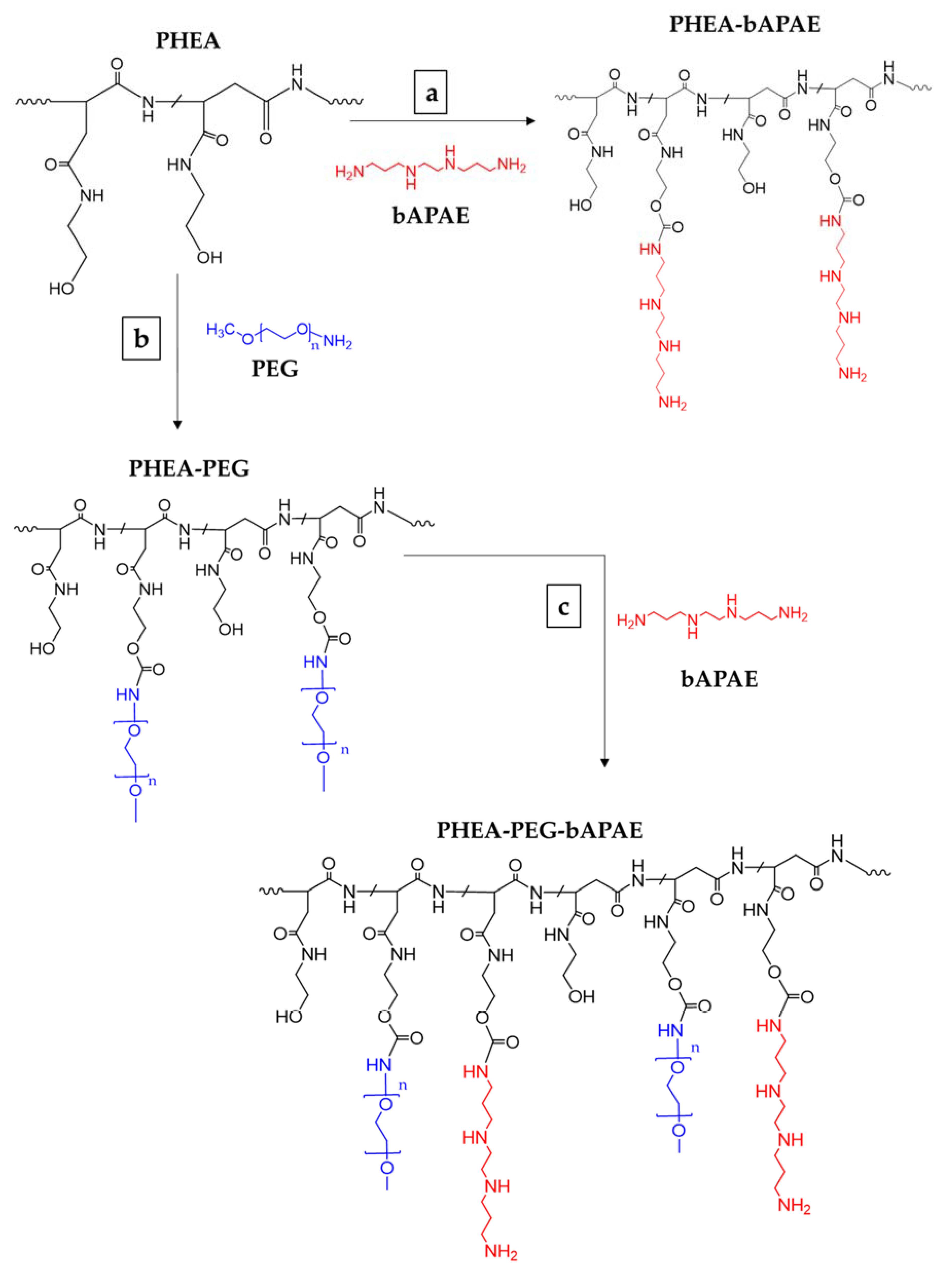 Pharmaceutics 12 00089 g002
