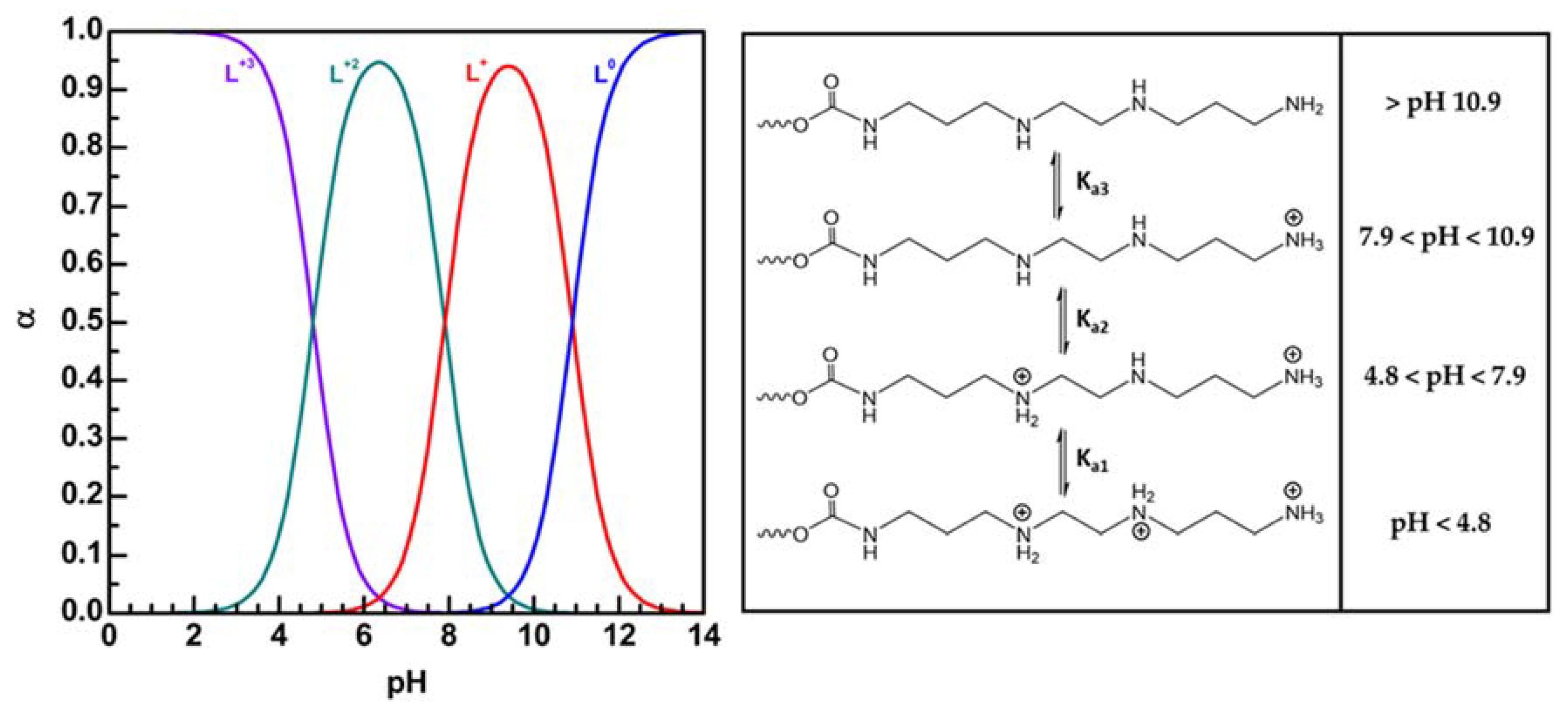 Pharmaceutics 12 00089 g005
