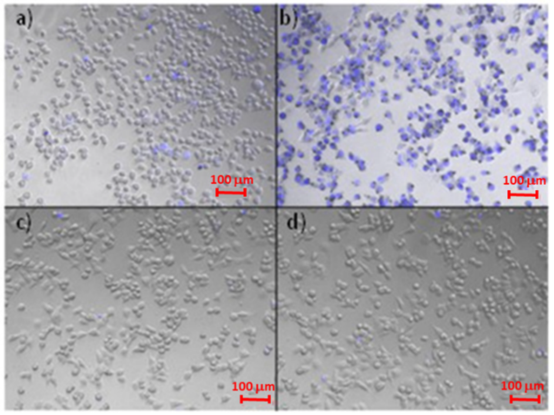 Pharmaceutics 12 00089 g006