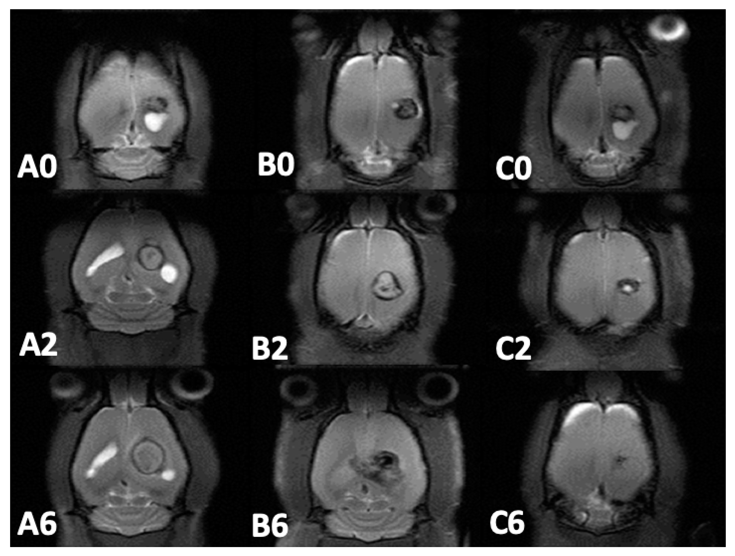 Pharmaceutics 12 00091 g007