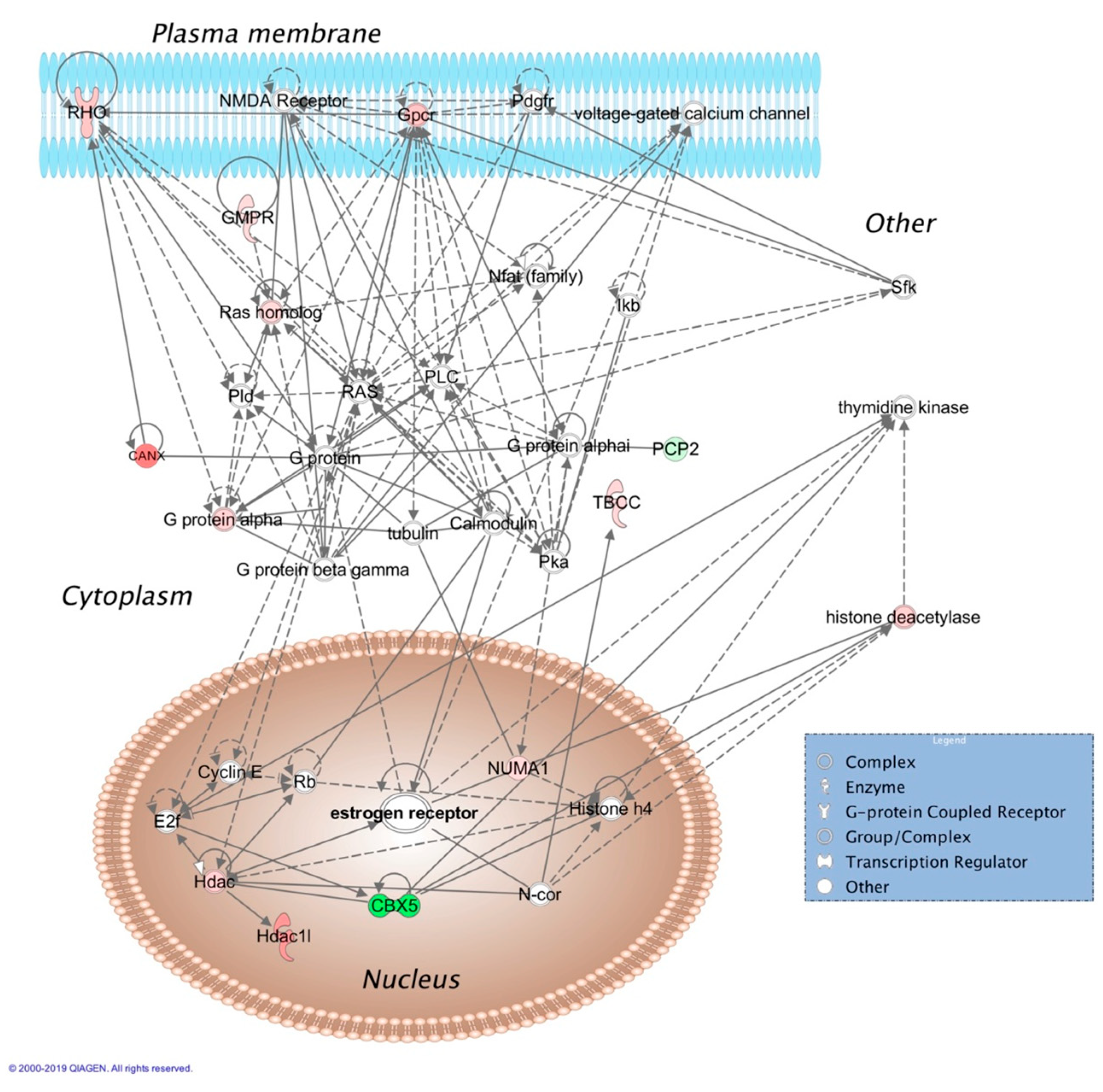 Pharmaceutics 12 00101 g001 Pharmaceutics 12 00101 g001