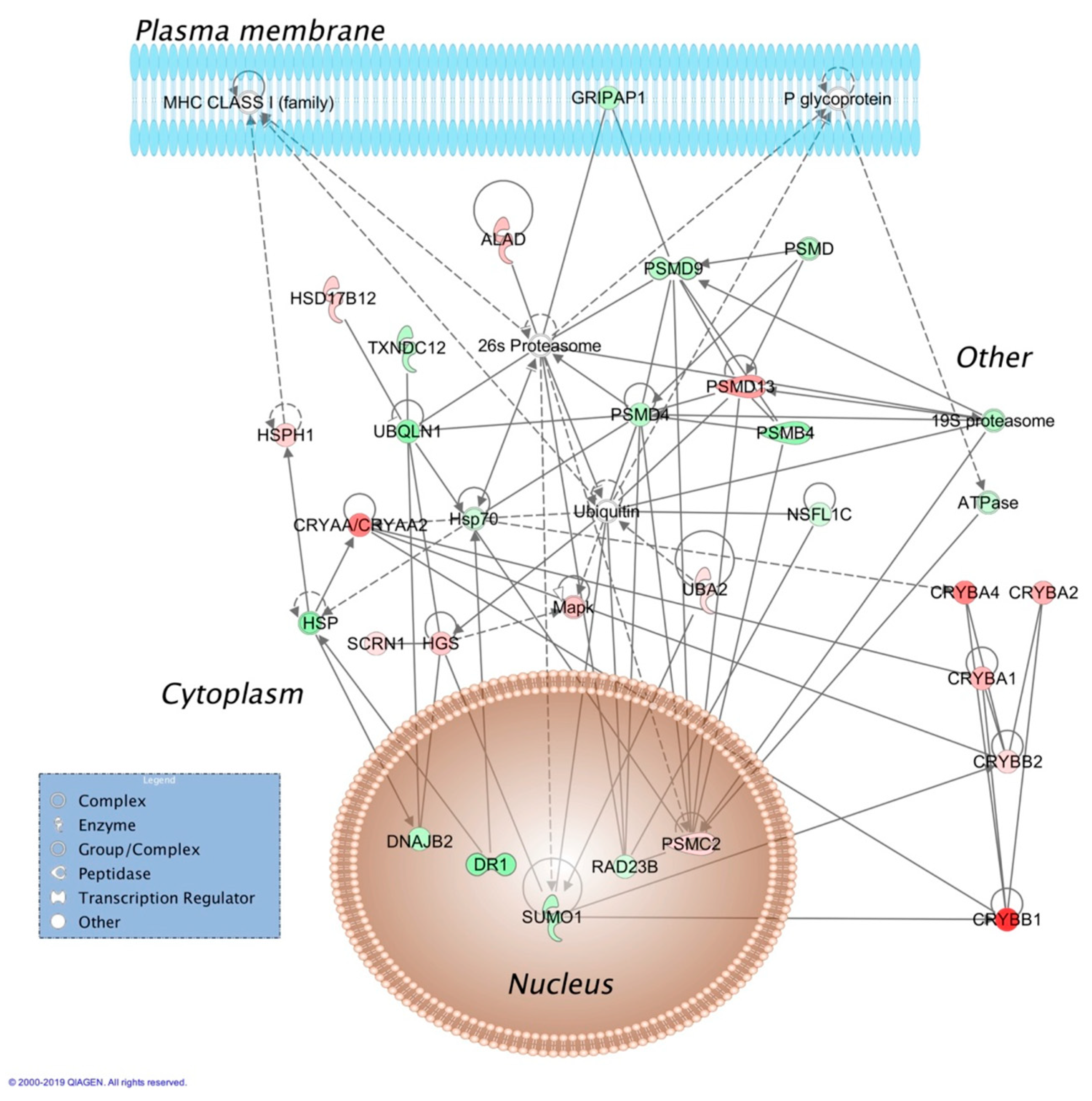 Pharmaceutics 12 00101 g002 Pharmaceutics 12 00101 g002