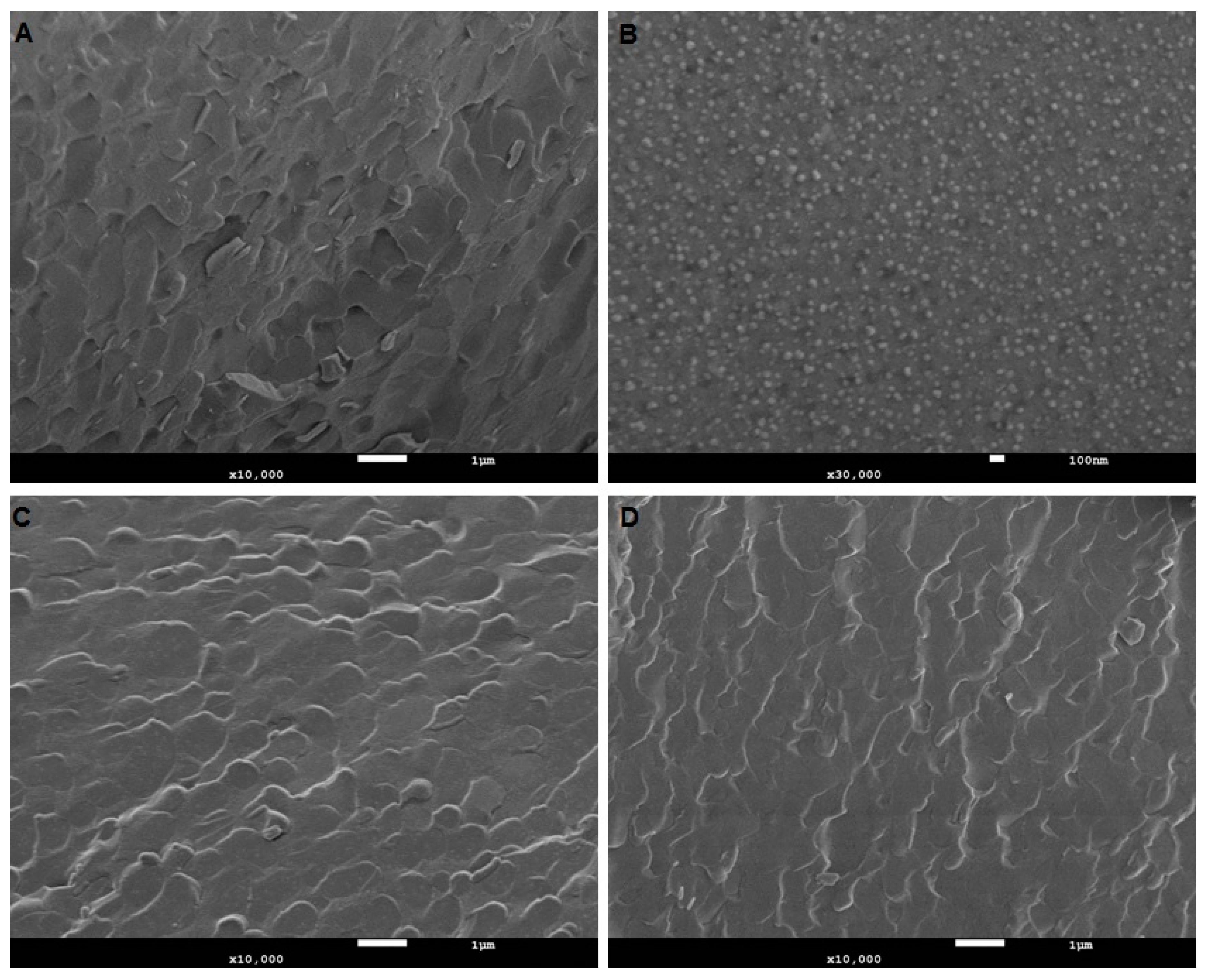Pharmaceutics 12 00108 g002 Pharmaceutics 12 00108 g002